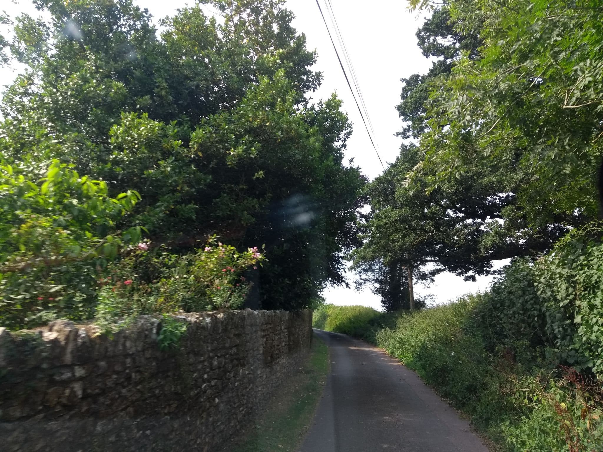 Street view near Sheafhayne manor, Chard — © ukchris (CC BY-SA · Mapillary)