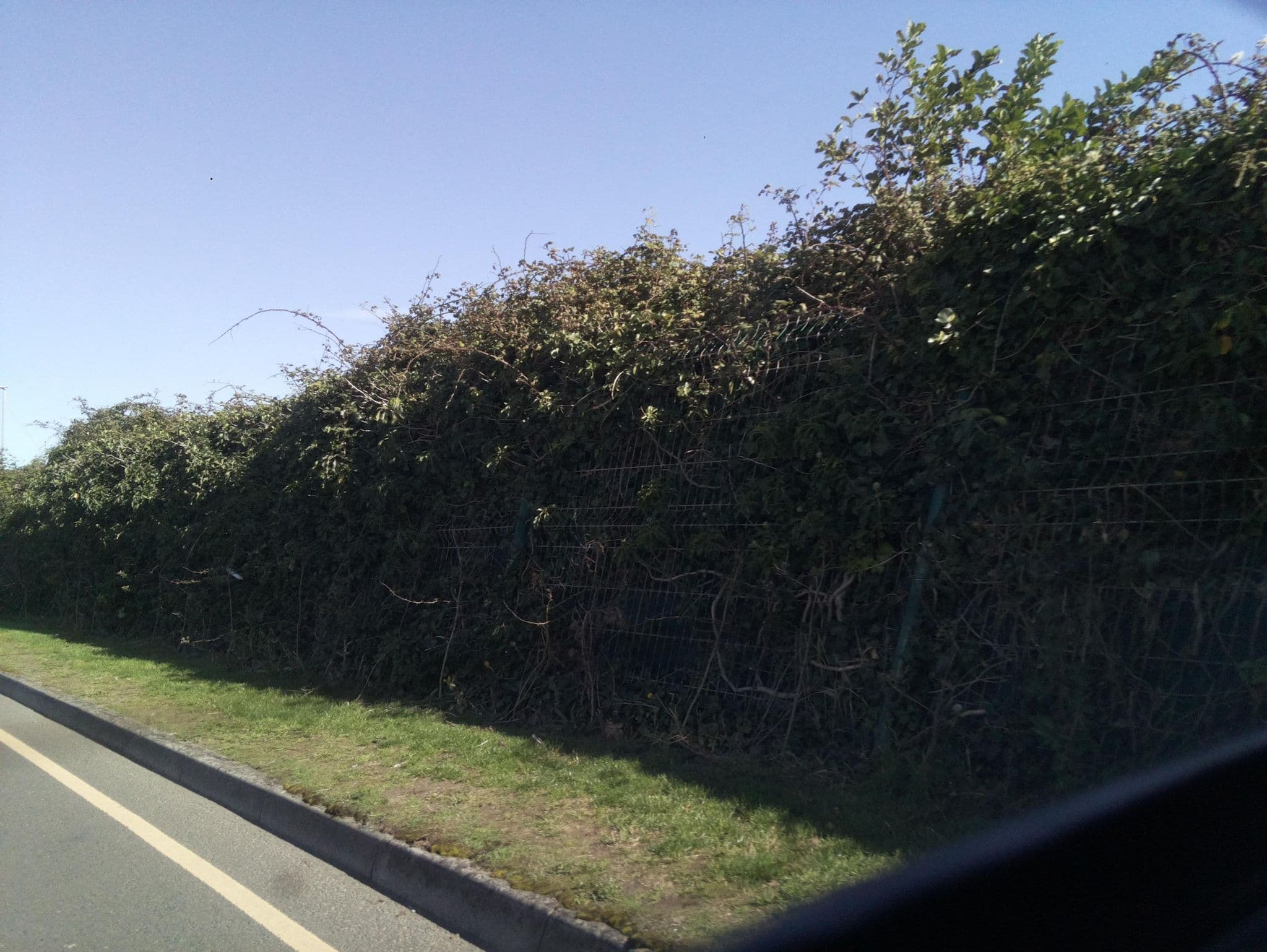 Street view near Holiday Resort Unity, Burnham-on-Sea — © southglos (CC BY-SA · Mapillary)