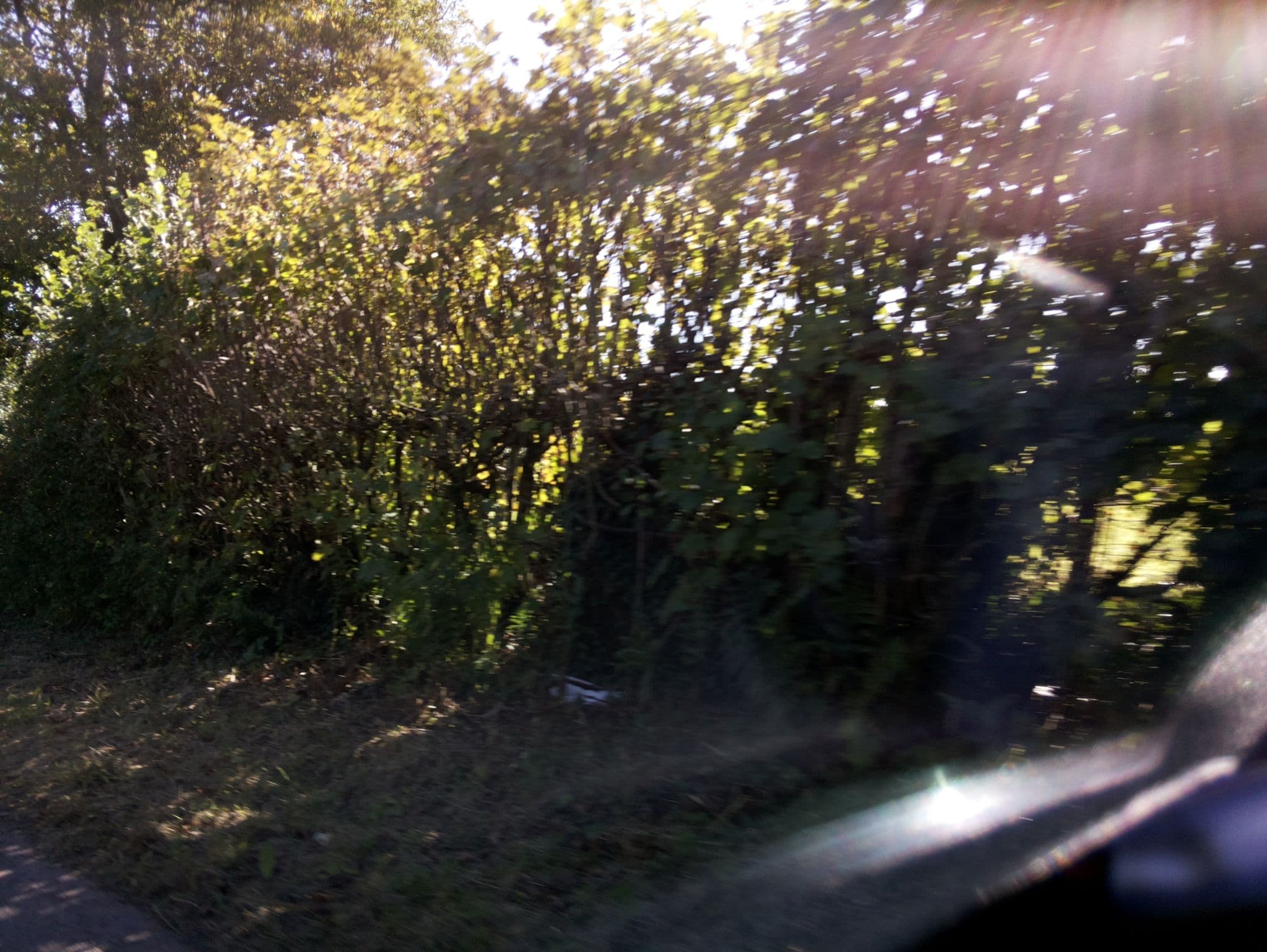 Street view near Whitbread Group, Cwmbran — © southglos (CC BY-SA · Mapillary)