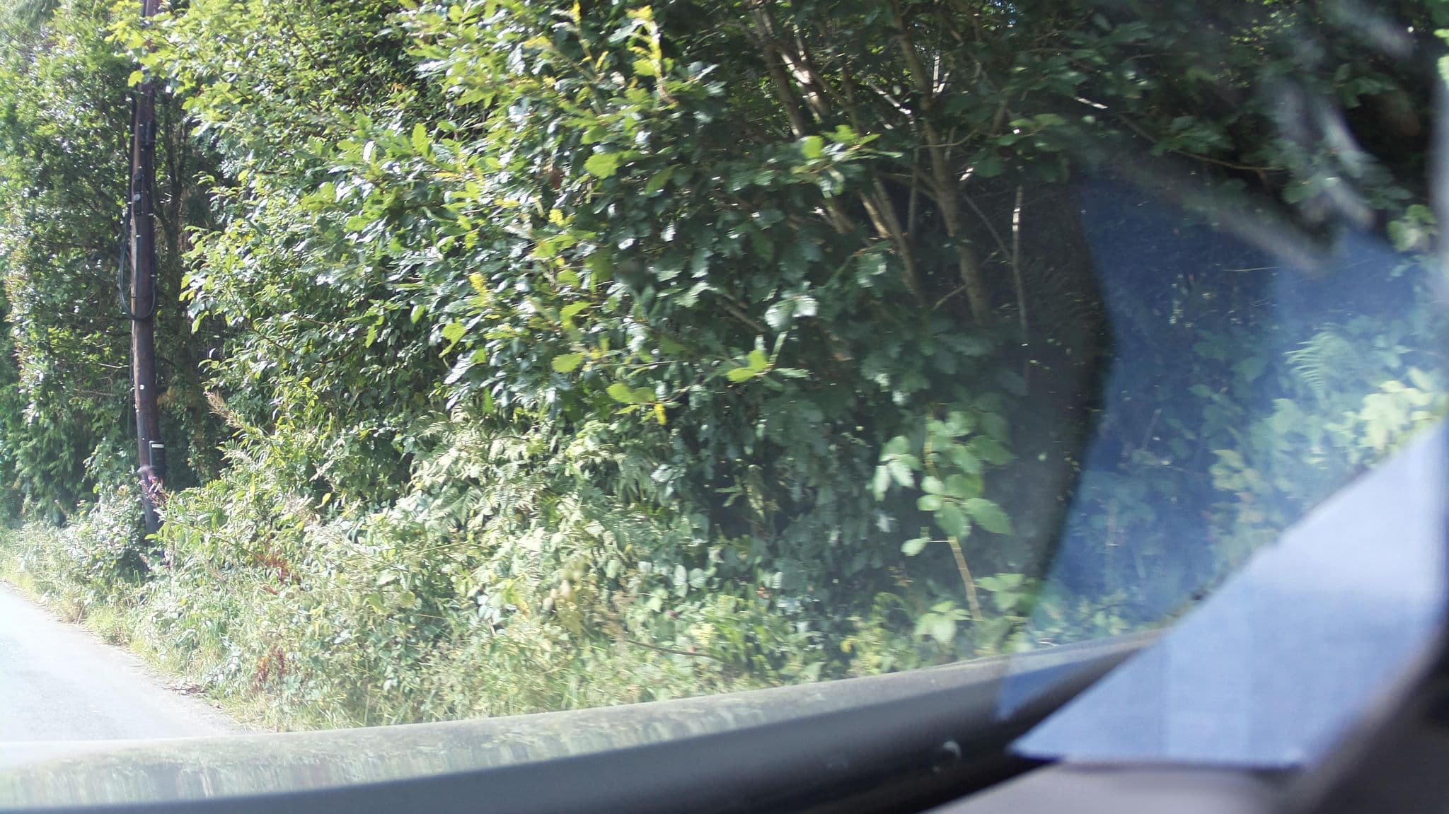 Street view near Cwm Irfon Lodge, Llandovery — © southglos (CC BY-SA · Mapillary)