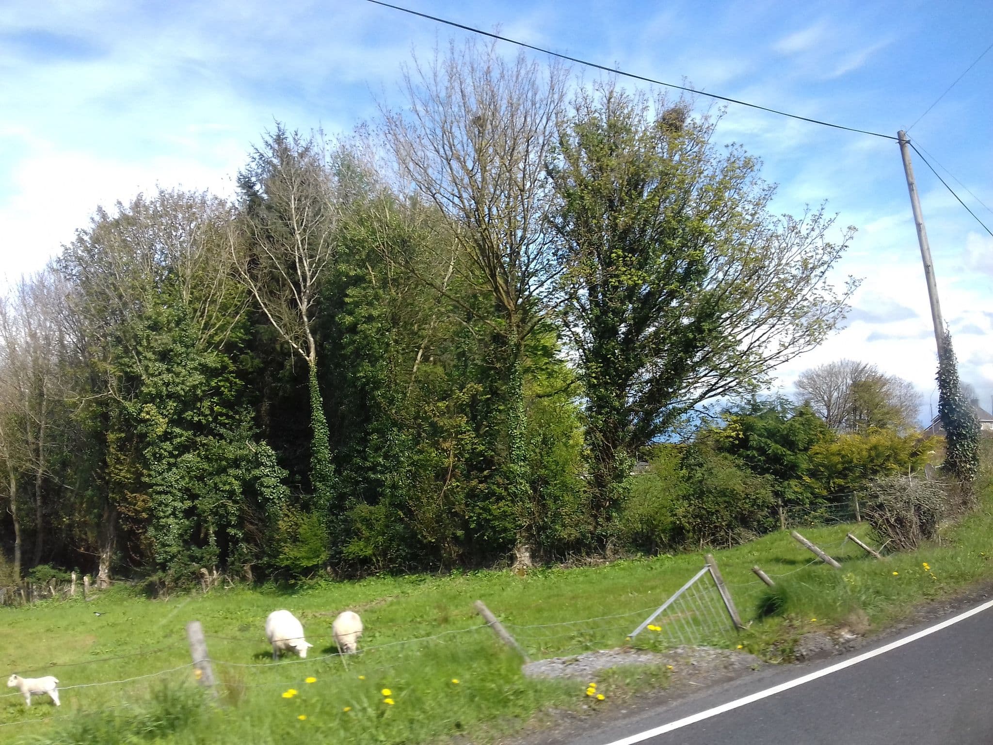 Street view near Tullybay Holiday Homes, Irvinestown — © debigc (CC BY-SA · Mapillary)