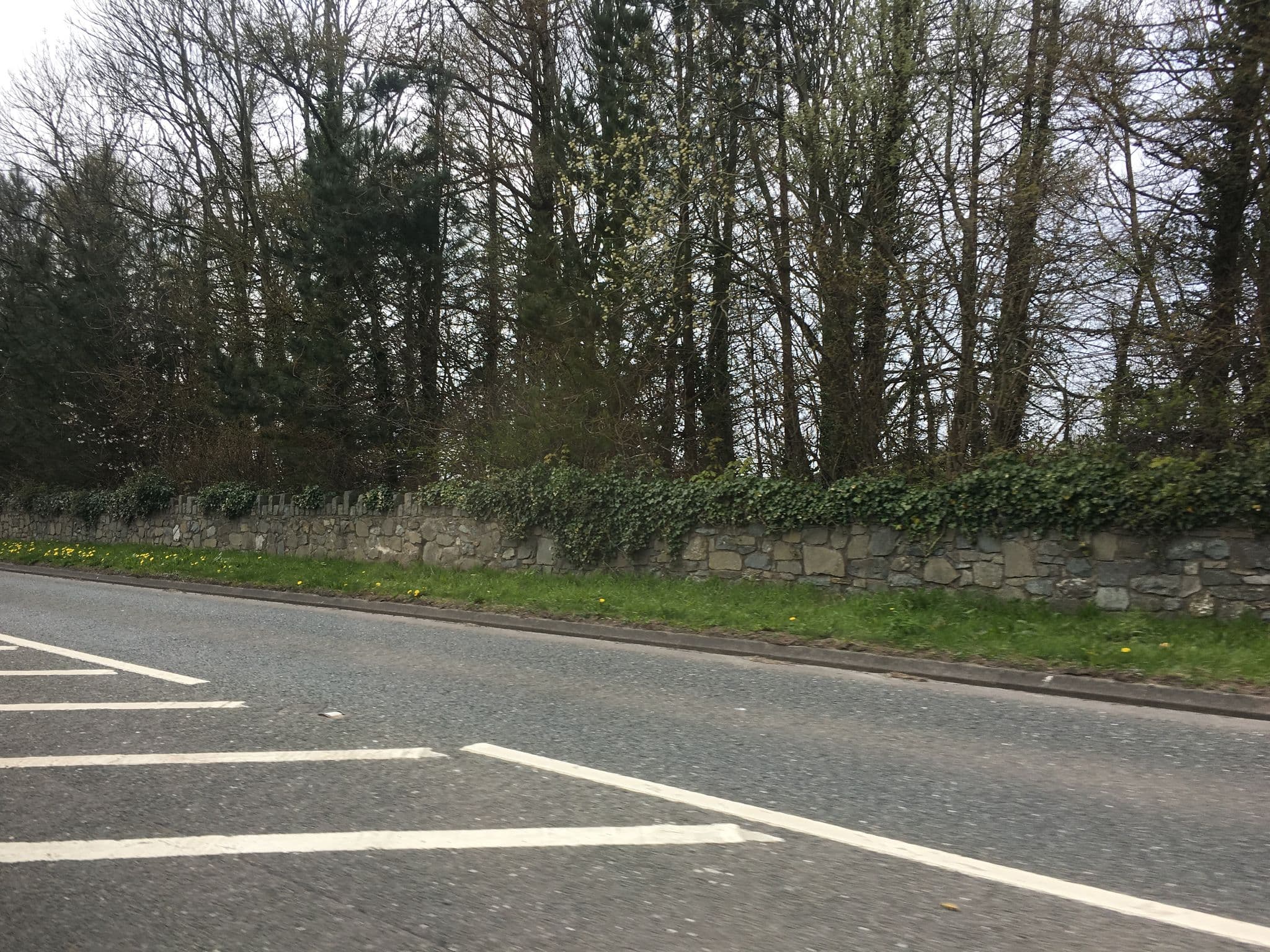 Street view near Royal Goat Hotel, Caernarfon — © gness (CC BY-SA · Mapillary)