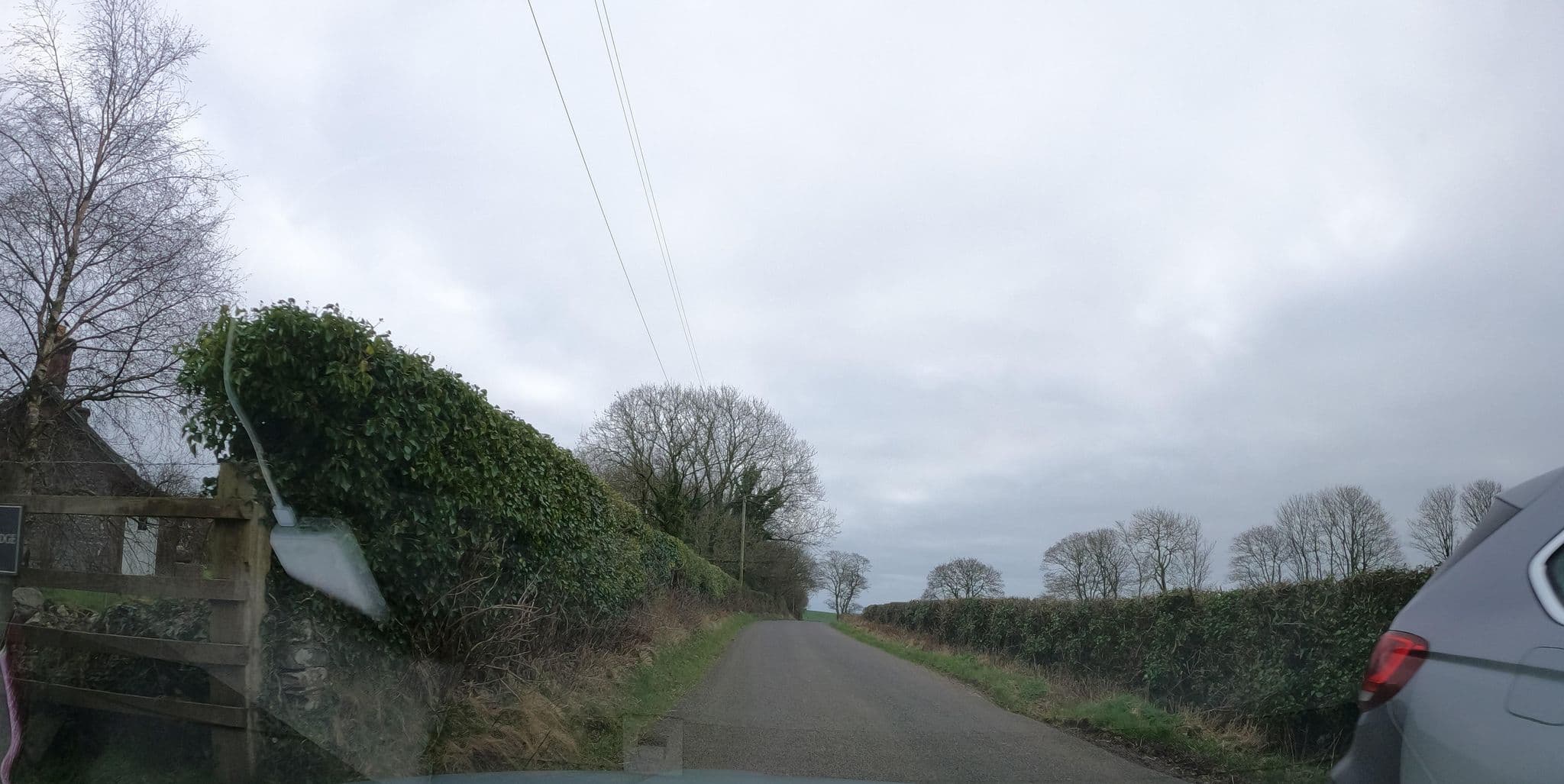 Street view near High Lodge, Newton Stewart — © hobgoblin (CC BY-SA · Mapillary)