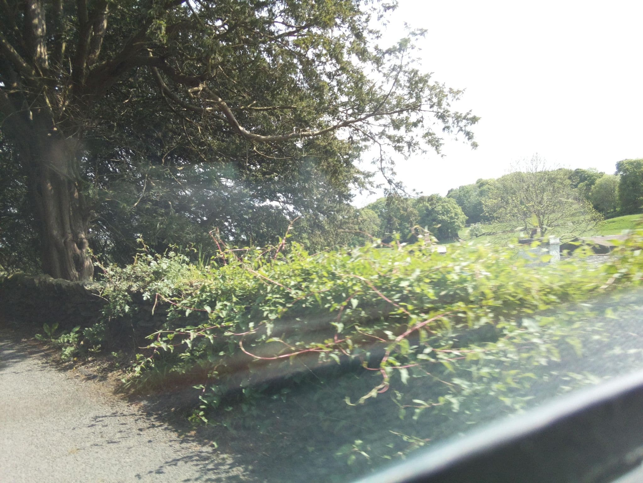 Street view near The Cottage, Windermere — © southglos (CC BY-SA · Mapillary)