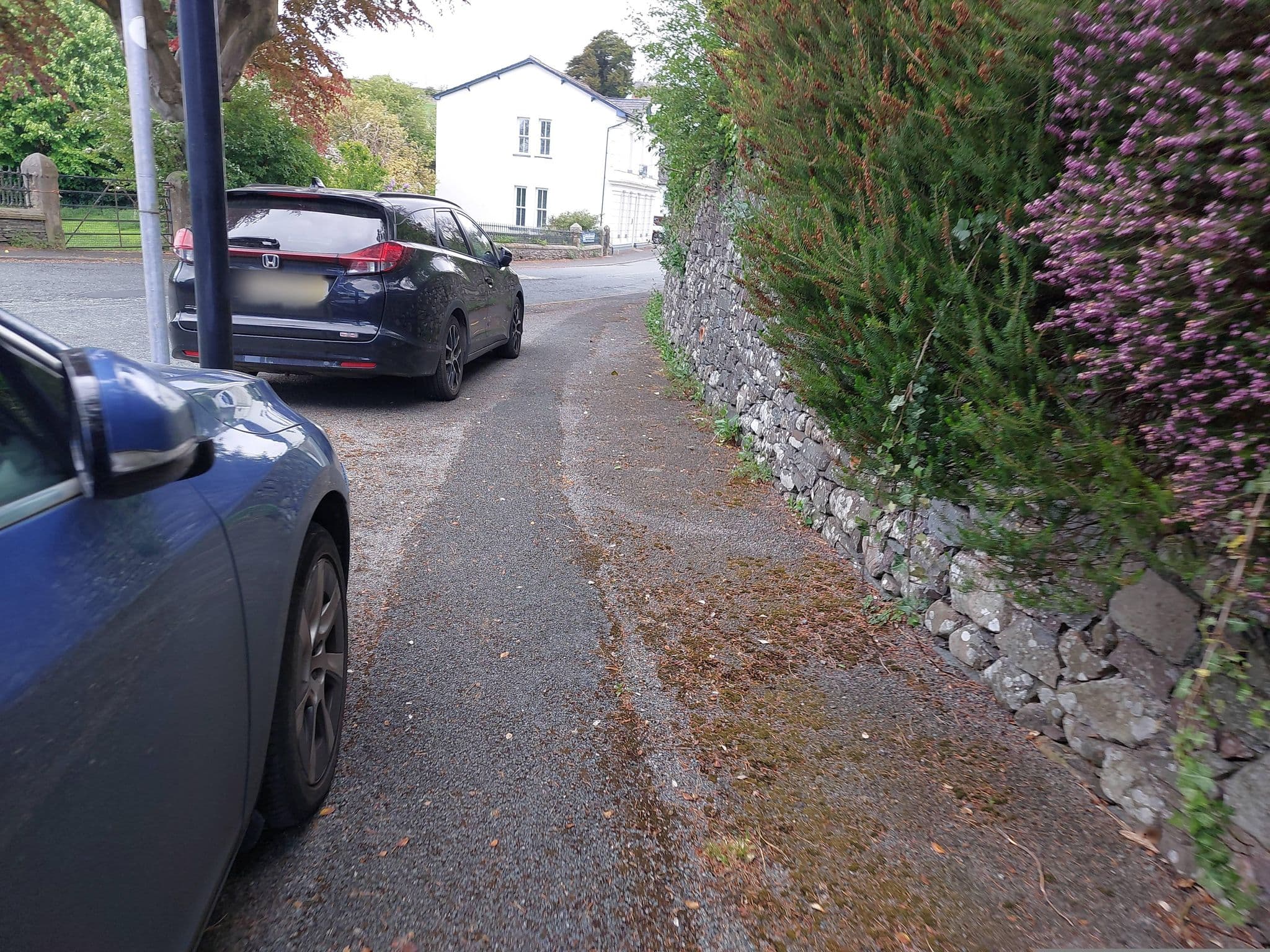 Street view near Whitbread Group, Millom — © a-sav (CC BY-SA · Mapillary)