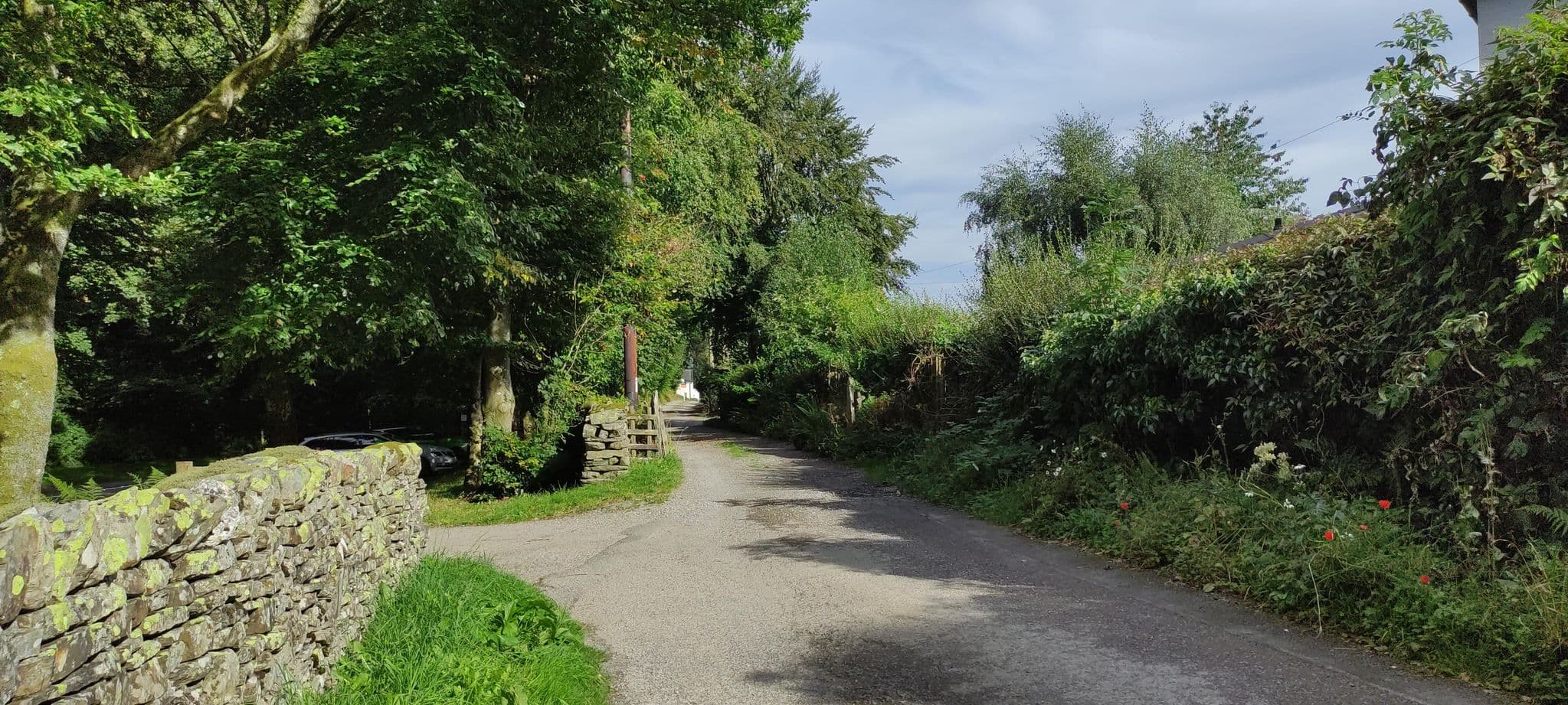 Street view near Shackleton Lodge, Keswick — © jethro10 (CC BY-SA · Mapillary)
