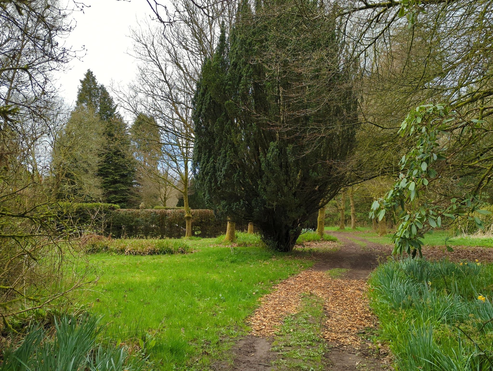 Street view near Sprinkell Mansion House Hotel, Eastriggs — © moohan (CC BY-SA · Mapillary)