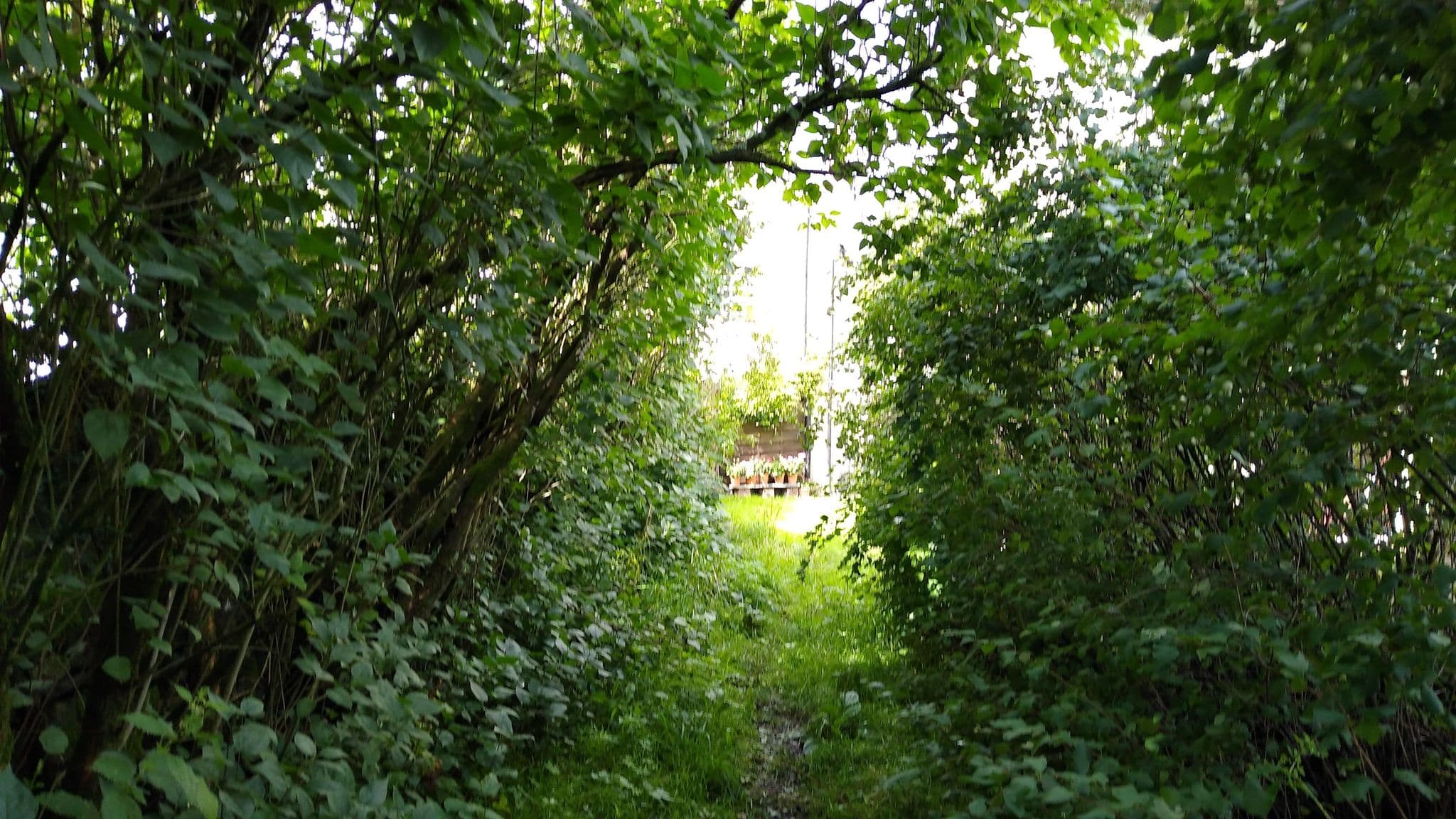 Street view near C a Heslop, Cockermouth — © jethro10 (CC BY-SA · Mapillary)