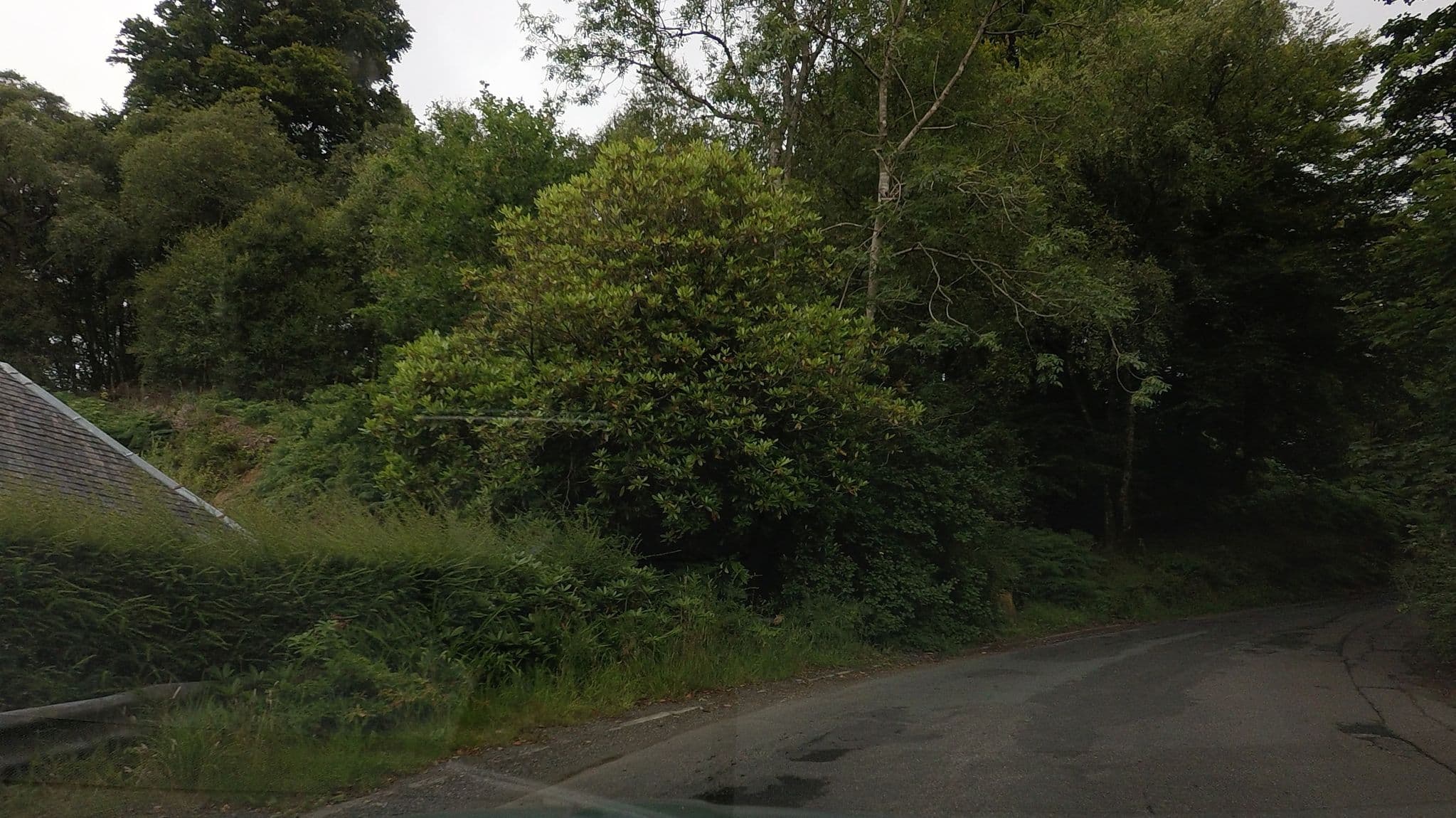 Street view near Passfoot Bed & Breakfast, Balloch — © hobgoblin (CC BY-SA · Mapillary)