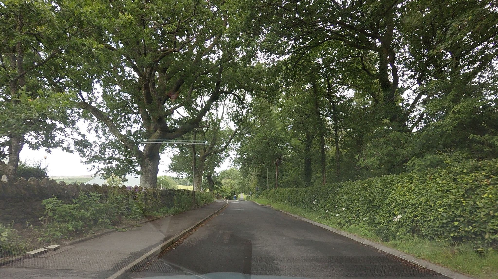 Street view near Shandon Farmhouse Bed and Breakfast, Killearn — © hobgoblin (CC BY-SA · Mapillary)