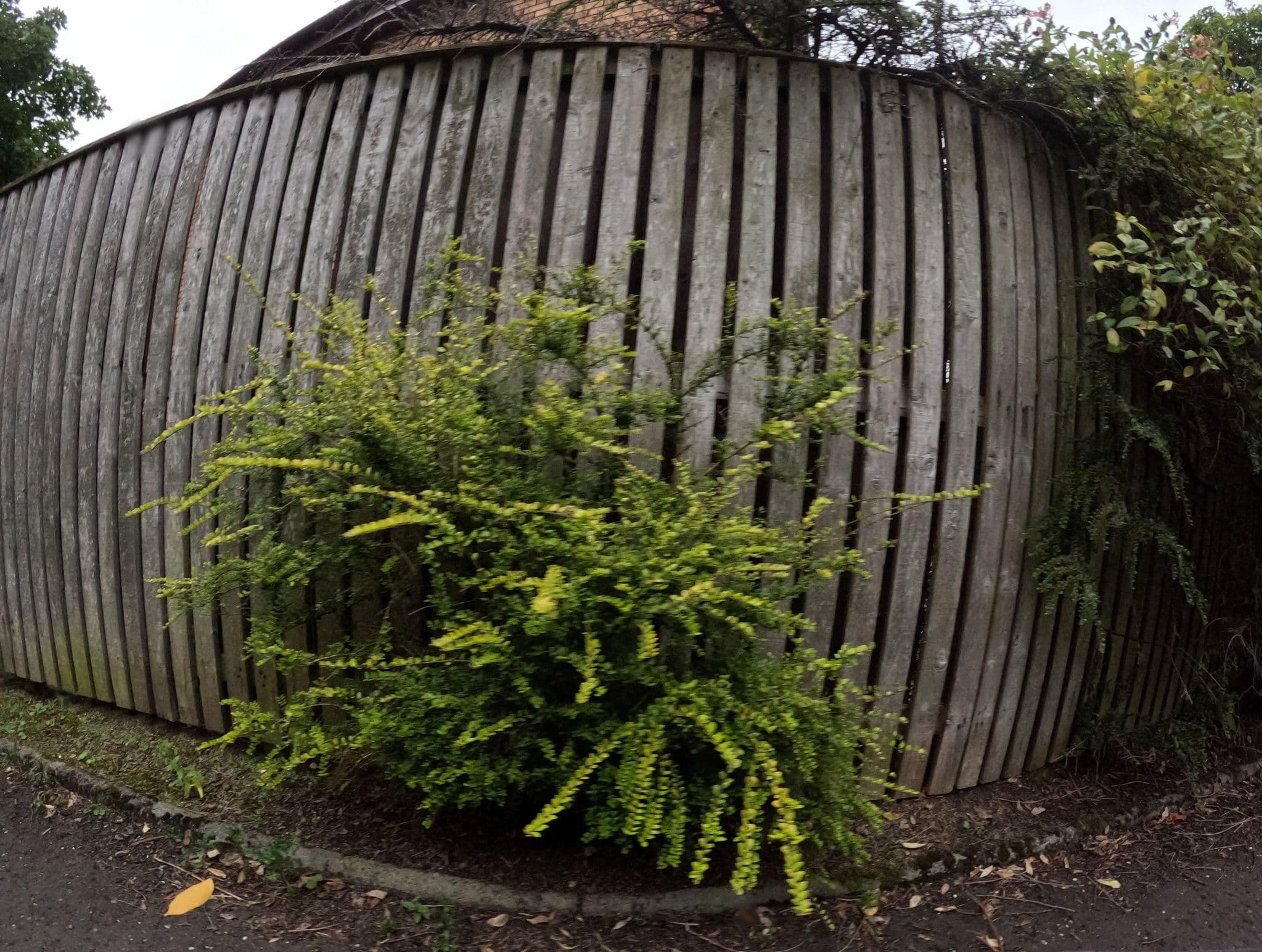 Street view near Global Virtual Interviews, Mid Calder — © hobgoblin (CC BY-SA · Mapillary)