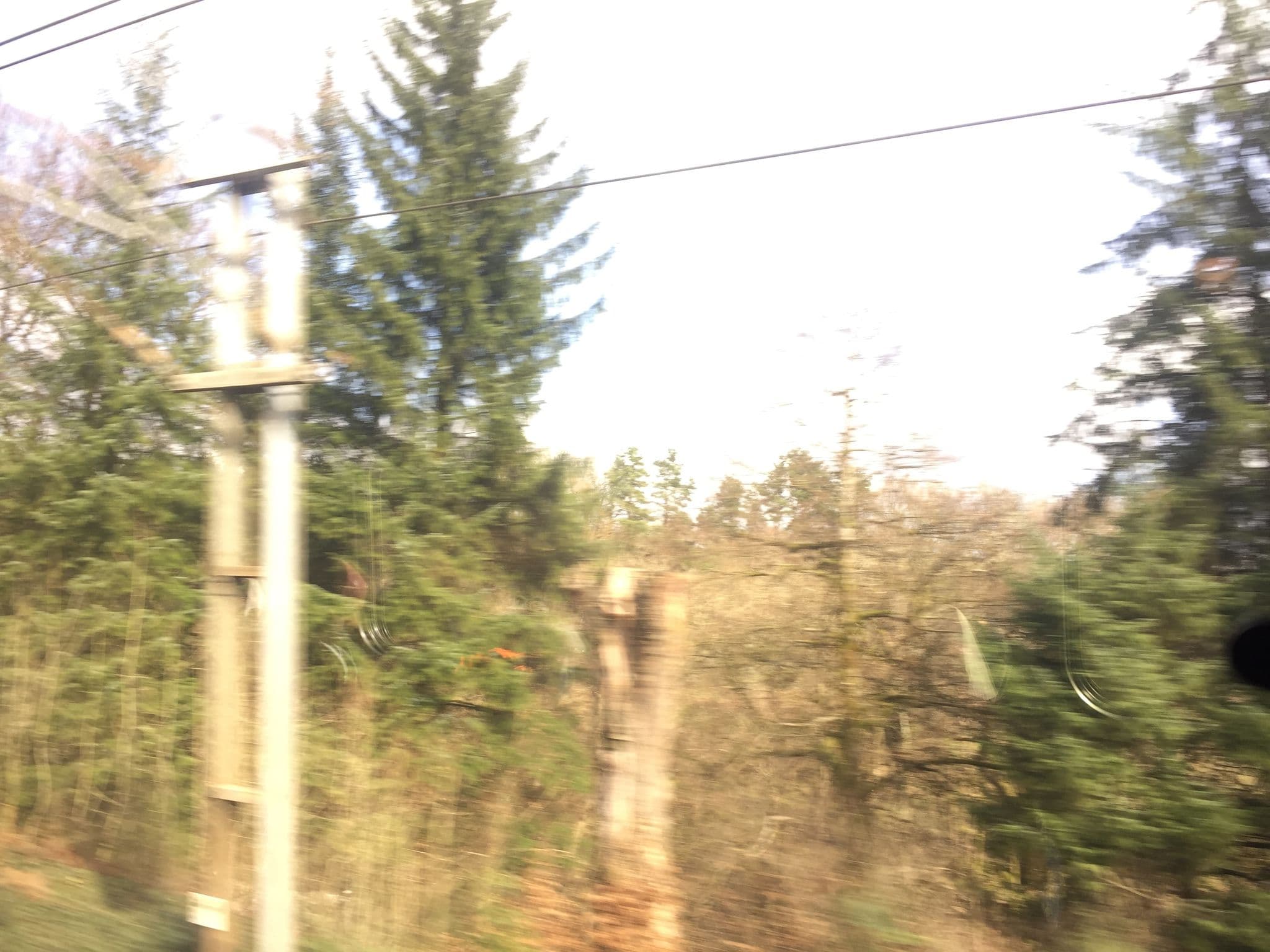 Street view near Auchen Castle, Moffat — © laye (CC BY-SA · Mapillary)