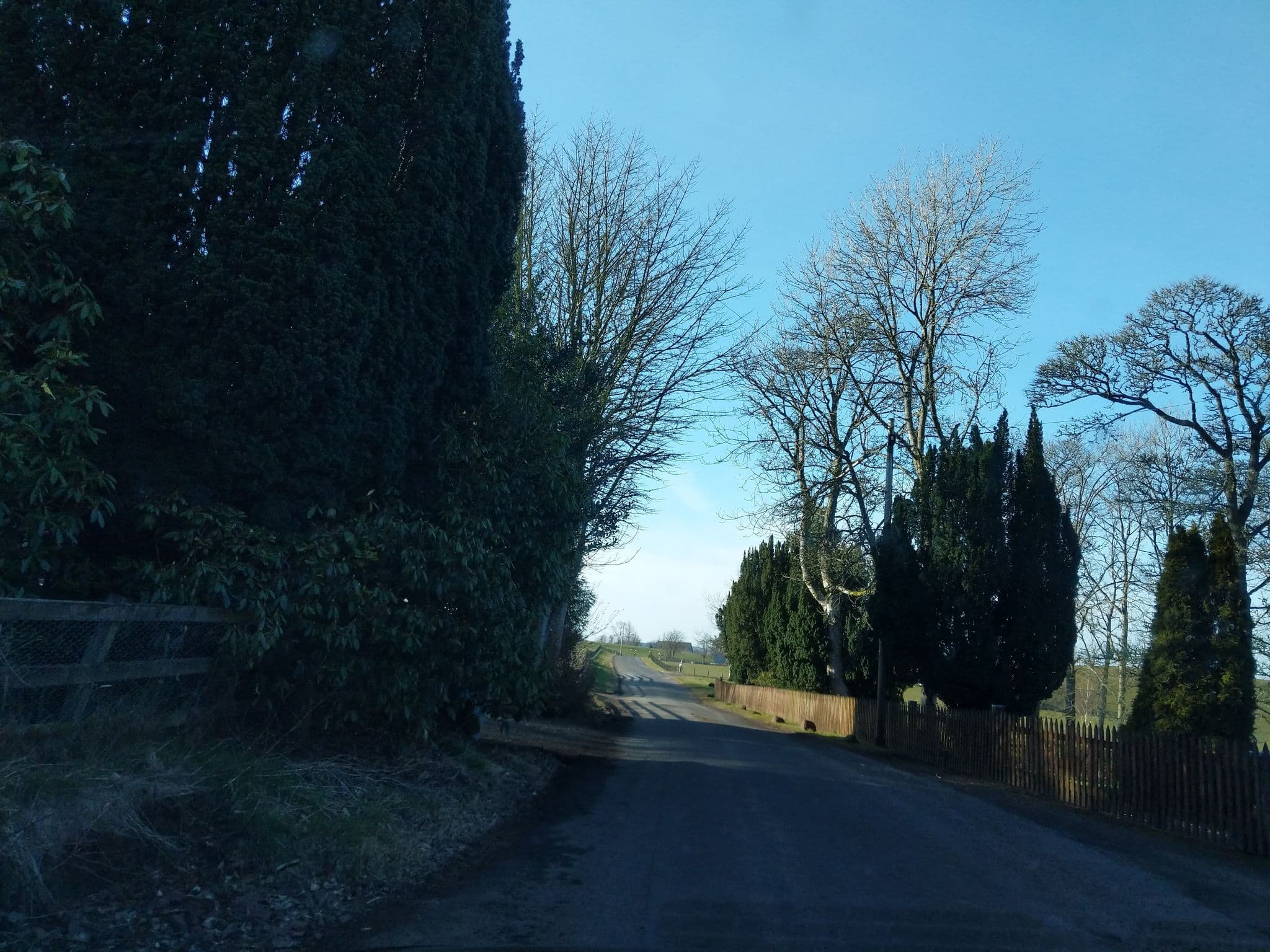 Street view near Roberton Mains Cottage, West Linton — © ccbb7766 (CC BY-SA · Mapillary)
