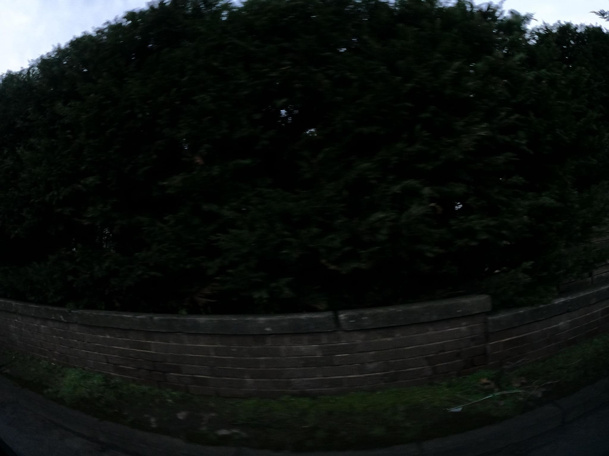 Street view near Garthill Lodge, Falkirk — © hobgoblin (CC BY-SA · Mapillary)