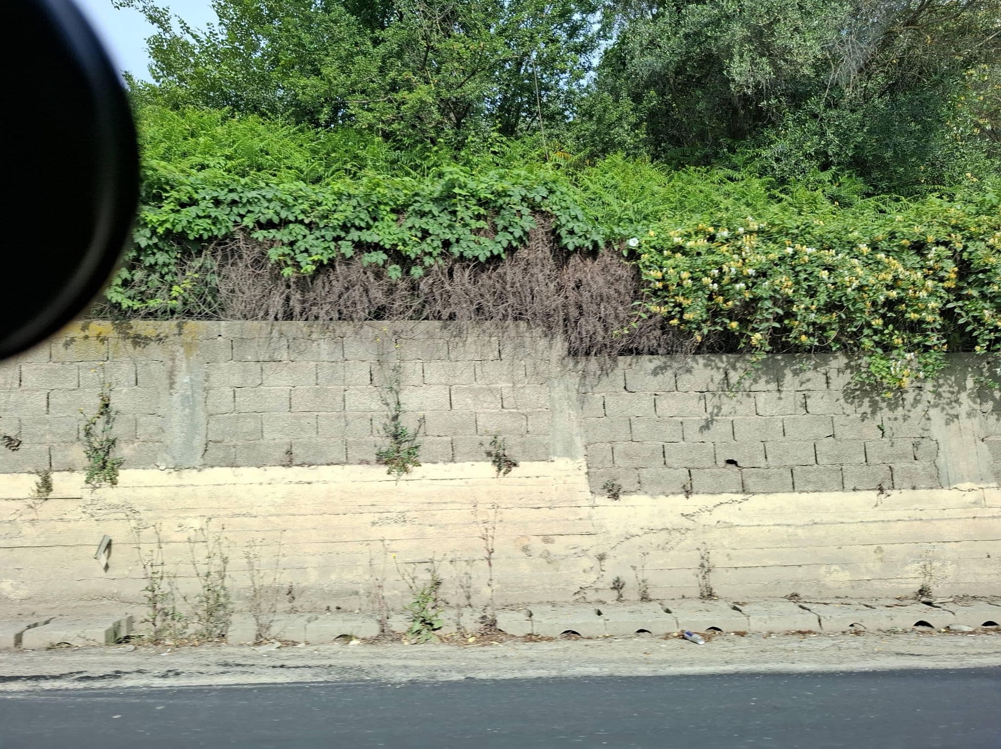 Street view near Brooklyn, Petrelë — © denisju_osm (CC BY-SA · Mapillary)