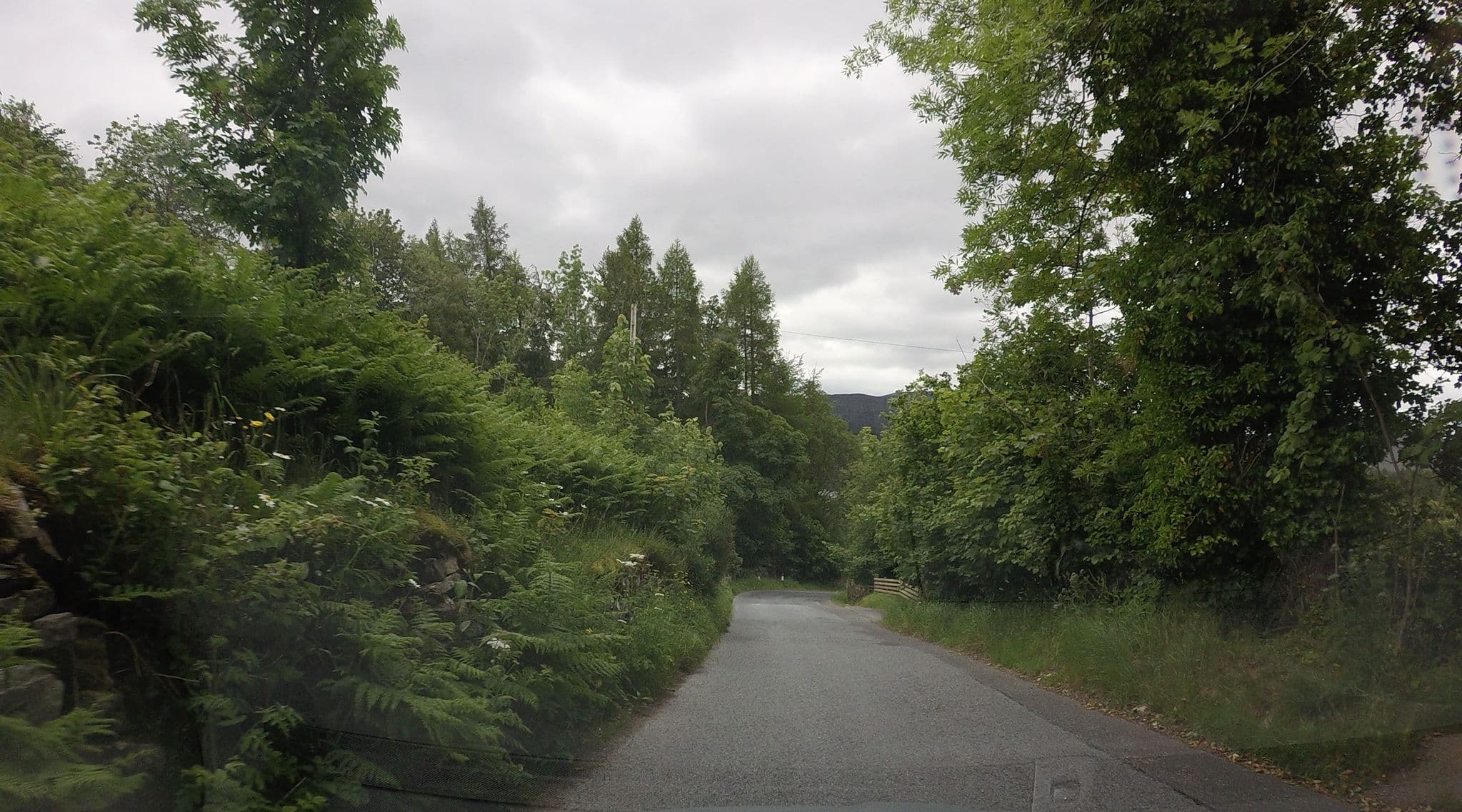 Street view near The Gardens B & B, Aberfeldy — © hobgoblin (CC BY-SA · Mapillary)