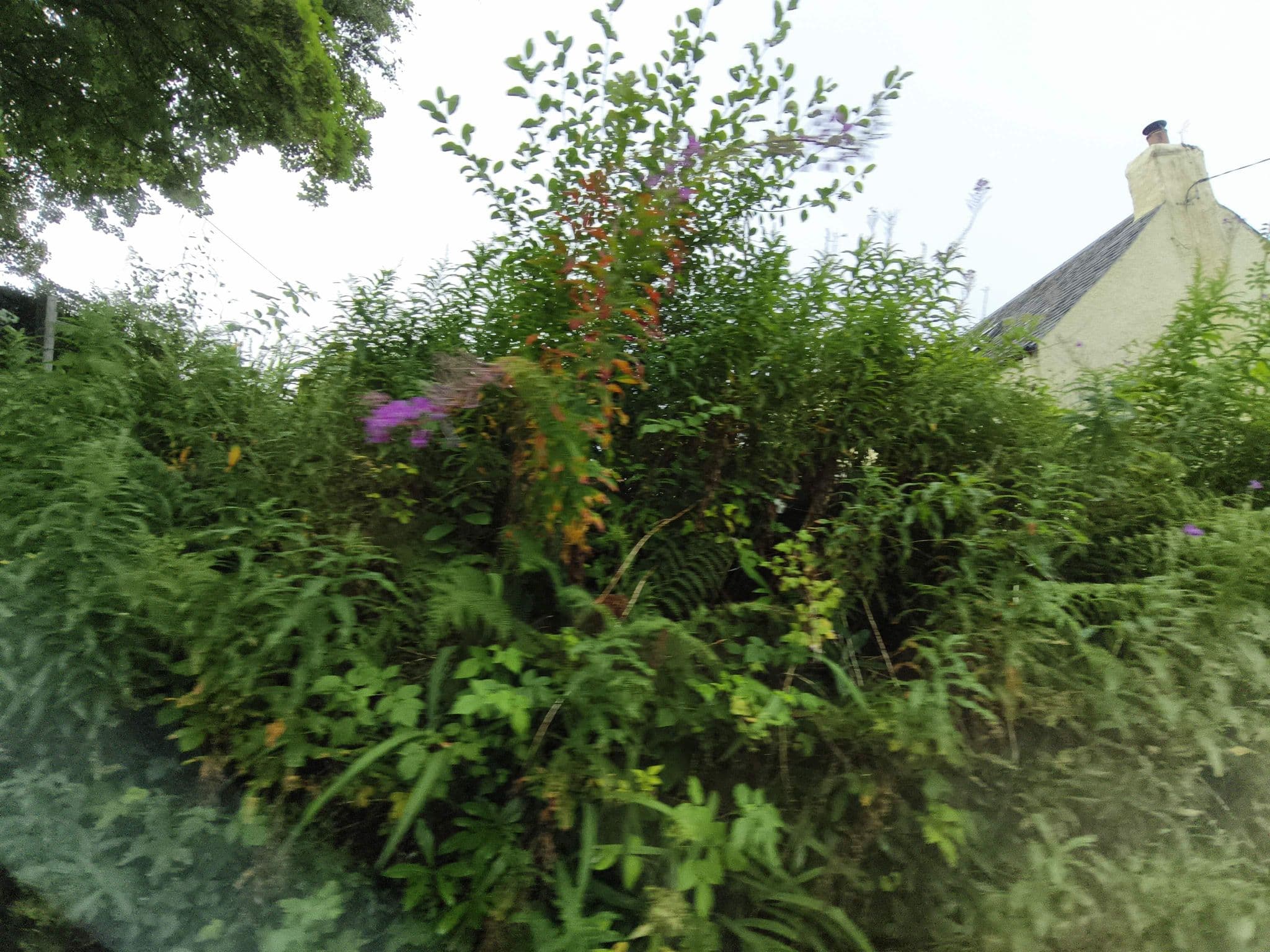 Street view near The Byre, Comrie — © hobgoblin (CC BY-SA · Mapillary)