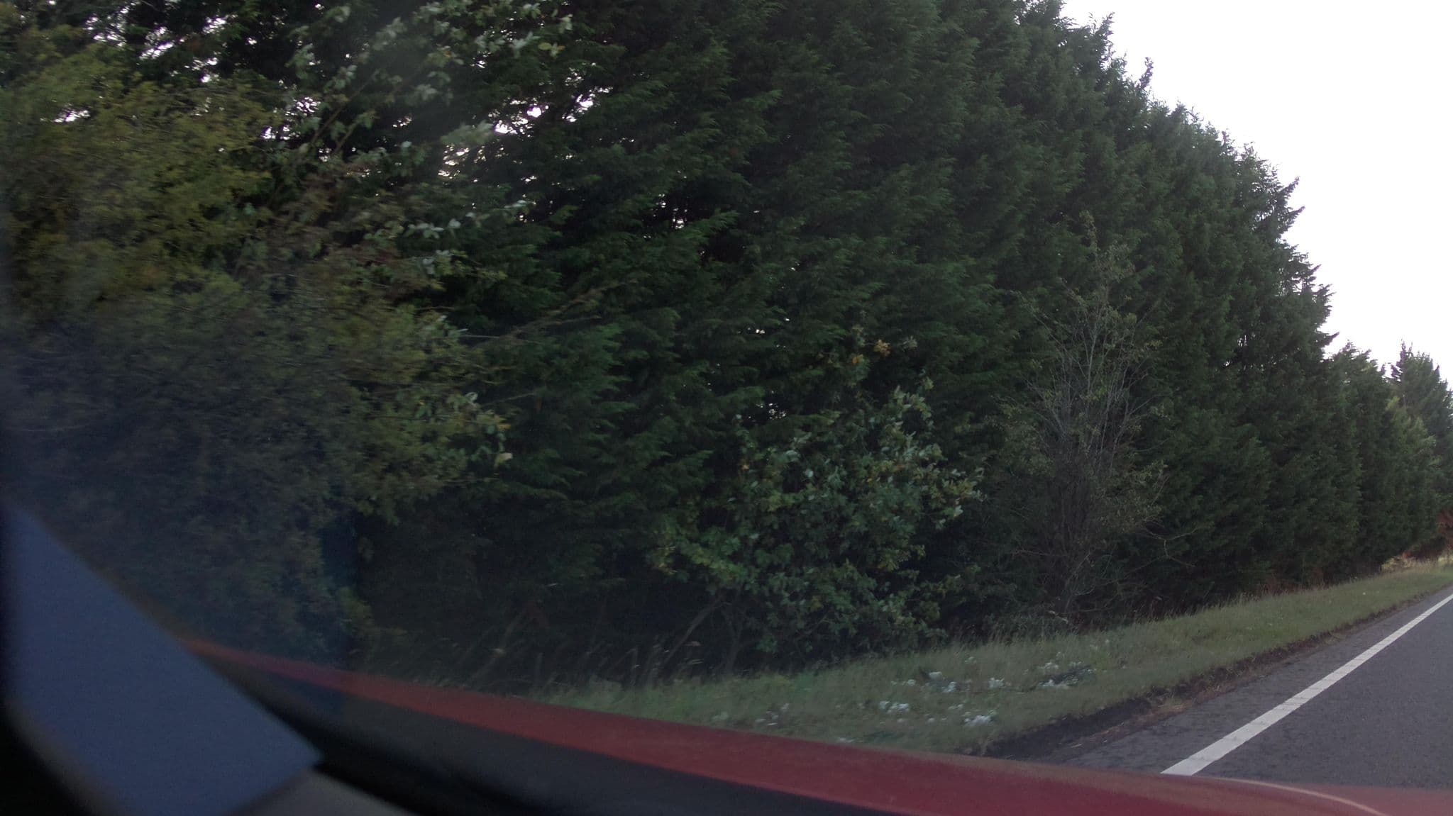 Street view near B&B Taigh Lusnambansith, Clackmannan — © southglos (CC BY-SA · Mapillary)