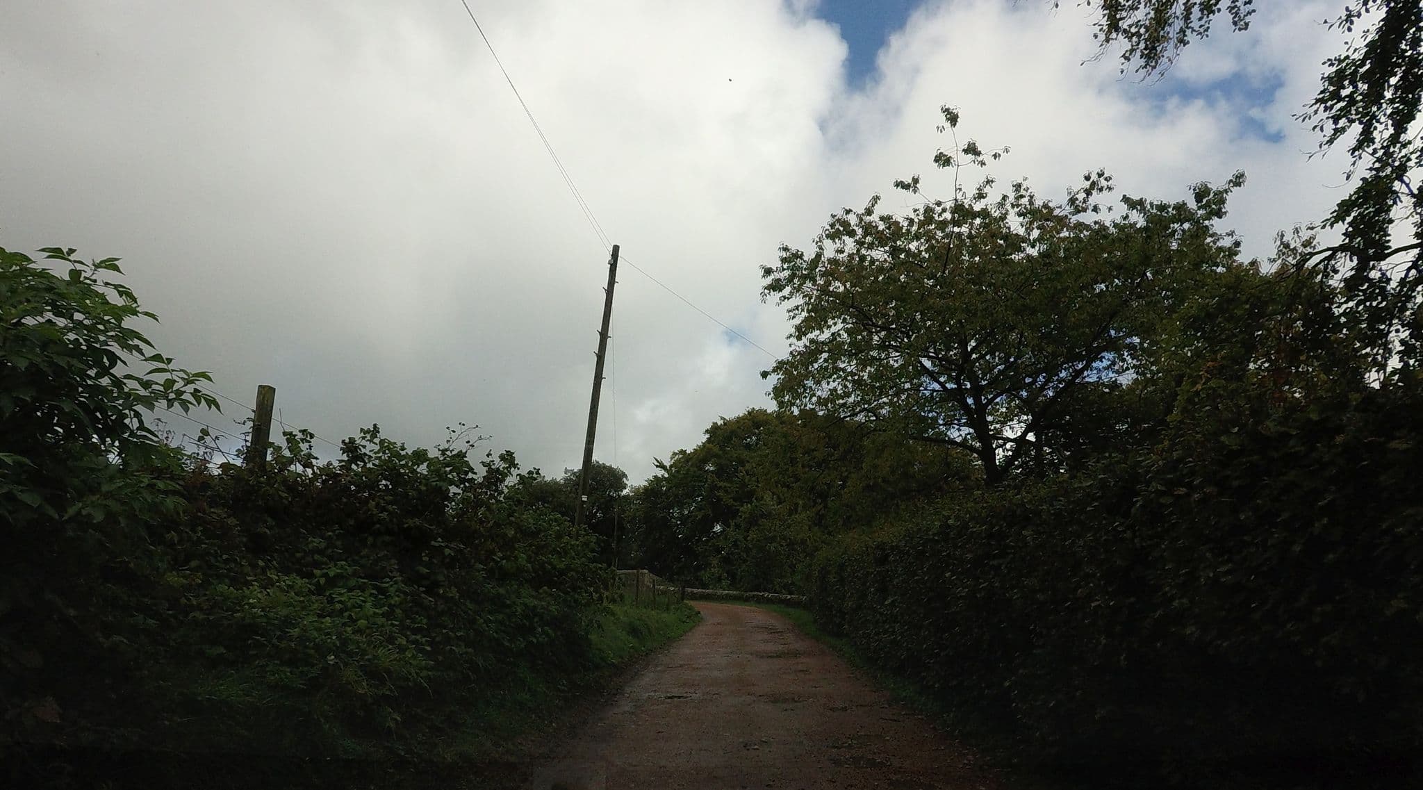 Street view near St Andrews Country Lodges, Balmullo — © hobgoblin (CC BY-SA · Mapillary)