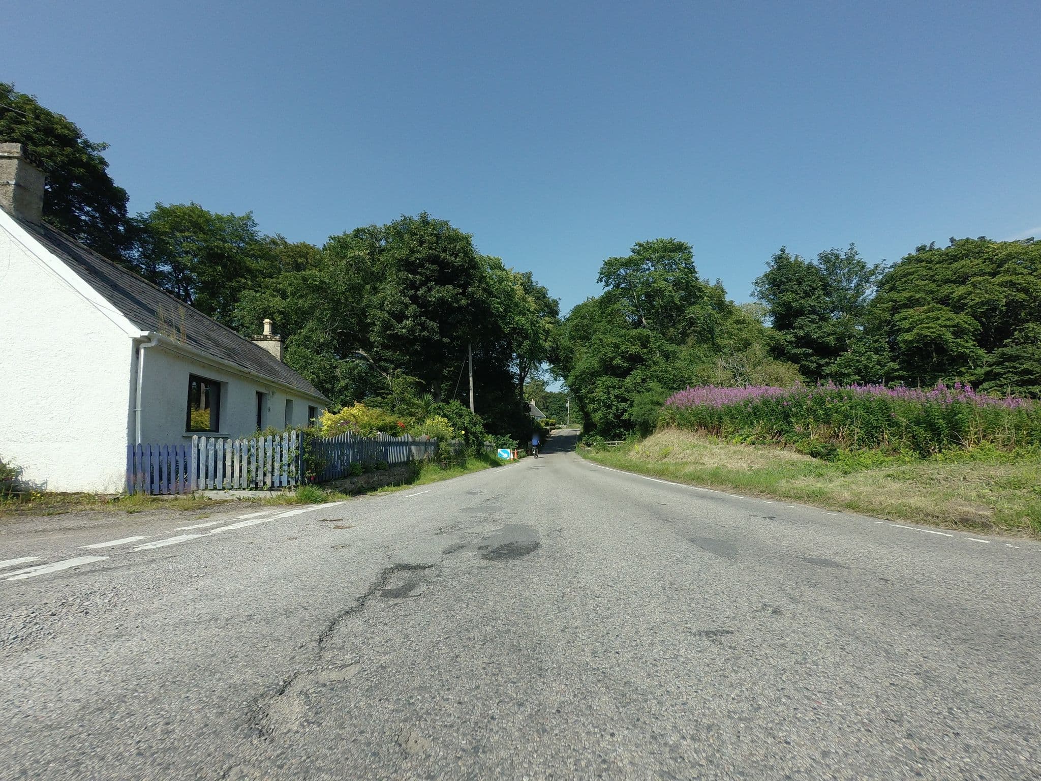 Street view near Highland Farm Cottages, Dingwall — © tallguy (CC BY-SA · Mapillary)