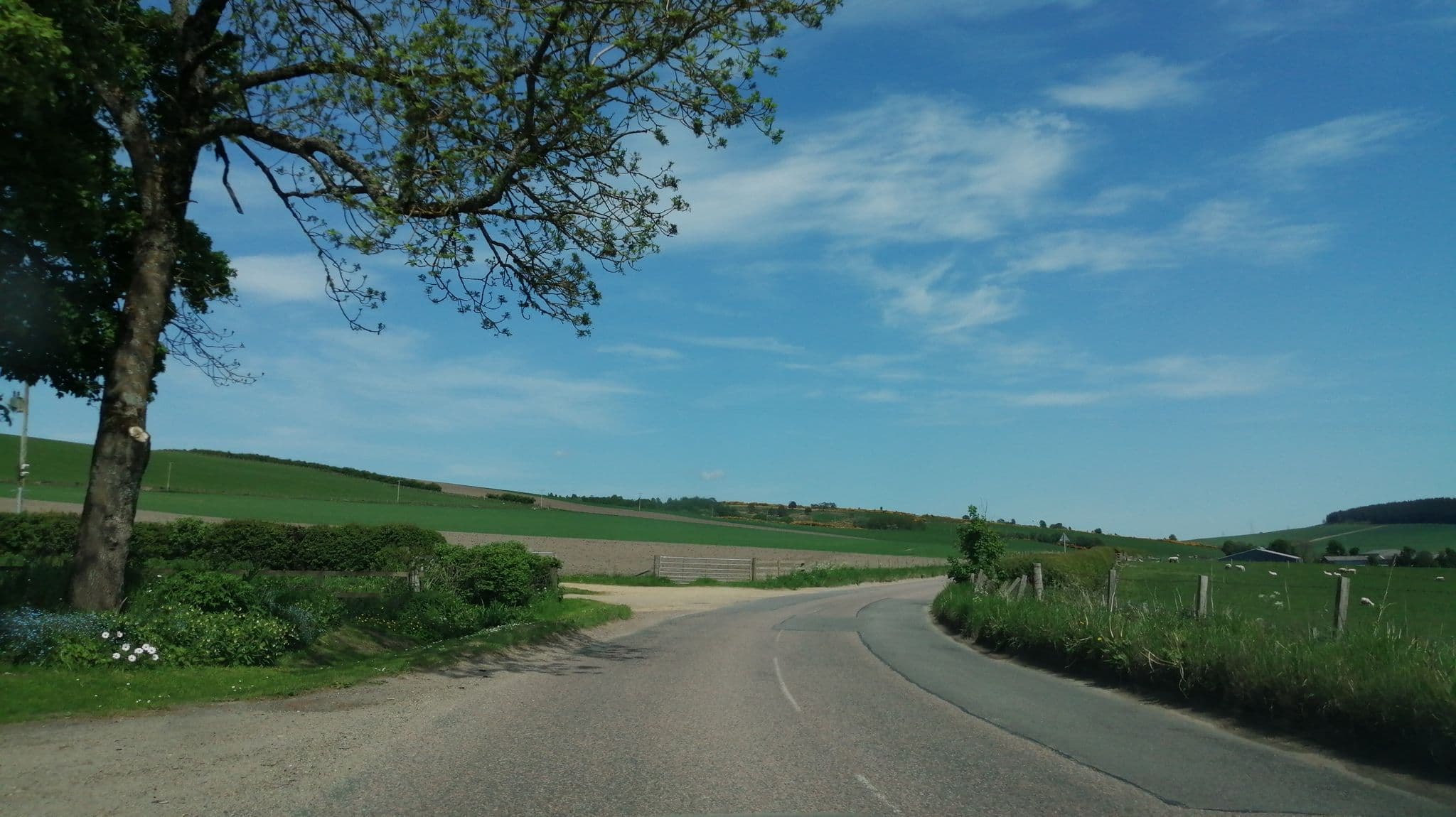Street view near Lower Towie Steading, Keith — © caz440 (CC BY-SA · Mapillary)