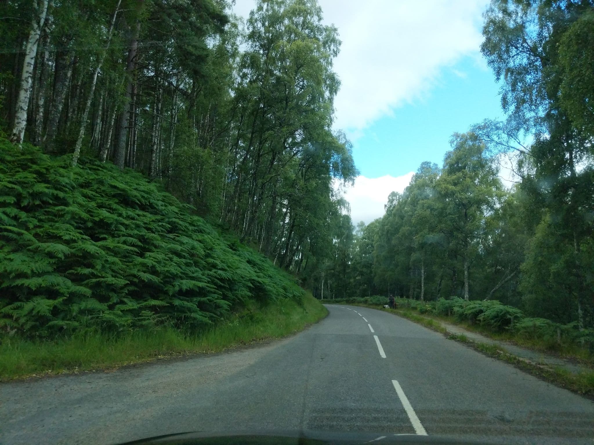 Street view near Pannanich Wells Hotel Ballater, Ballater — © ccbb7766 (CC BY-SA · Mapillary)