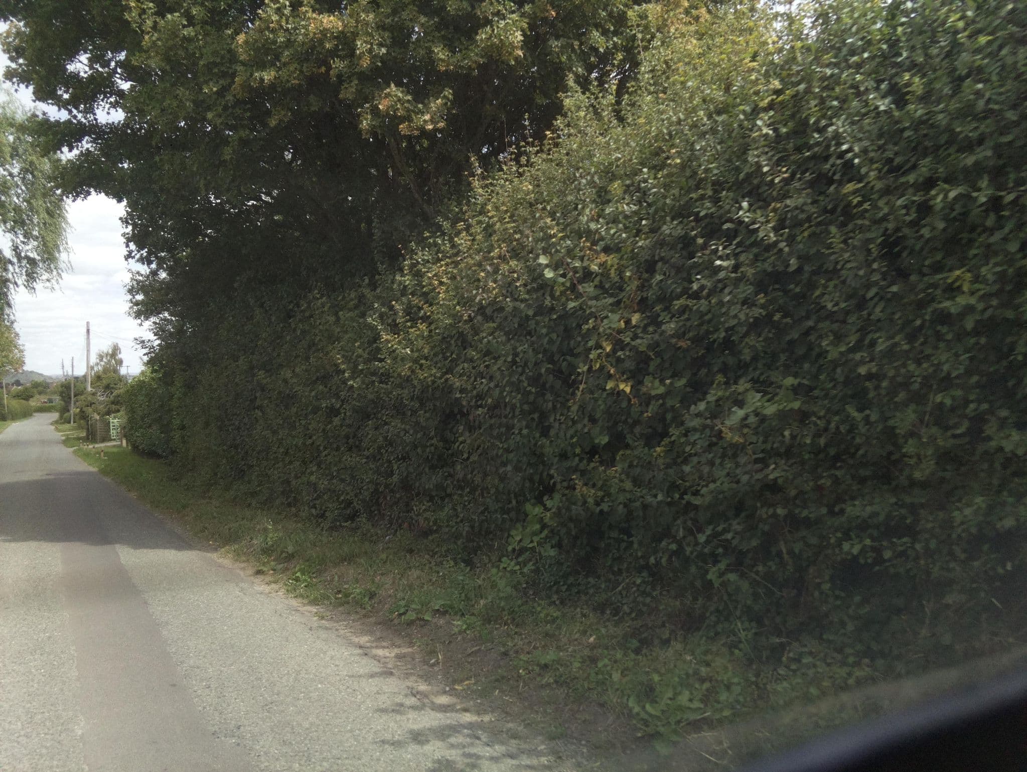 Street view near Rosehip Cottage, Ilchester — © southglos (CC BY-SA · Mapillary)