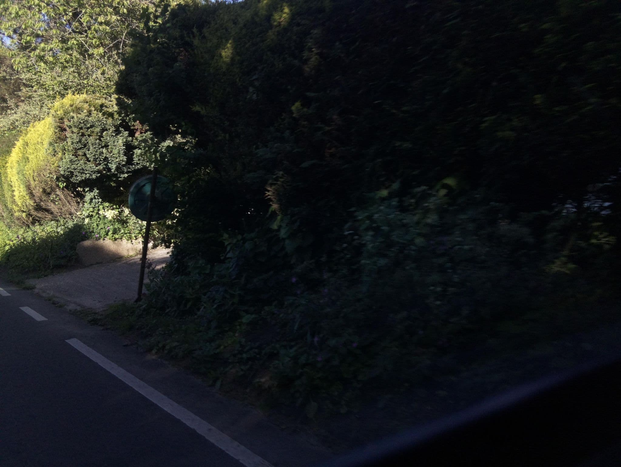 Street view near Lucys Farm House Tea Room & Bed & Breakfast, Crewkerne — © southglos (CC BY-SA · Mapillary)