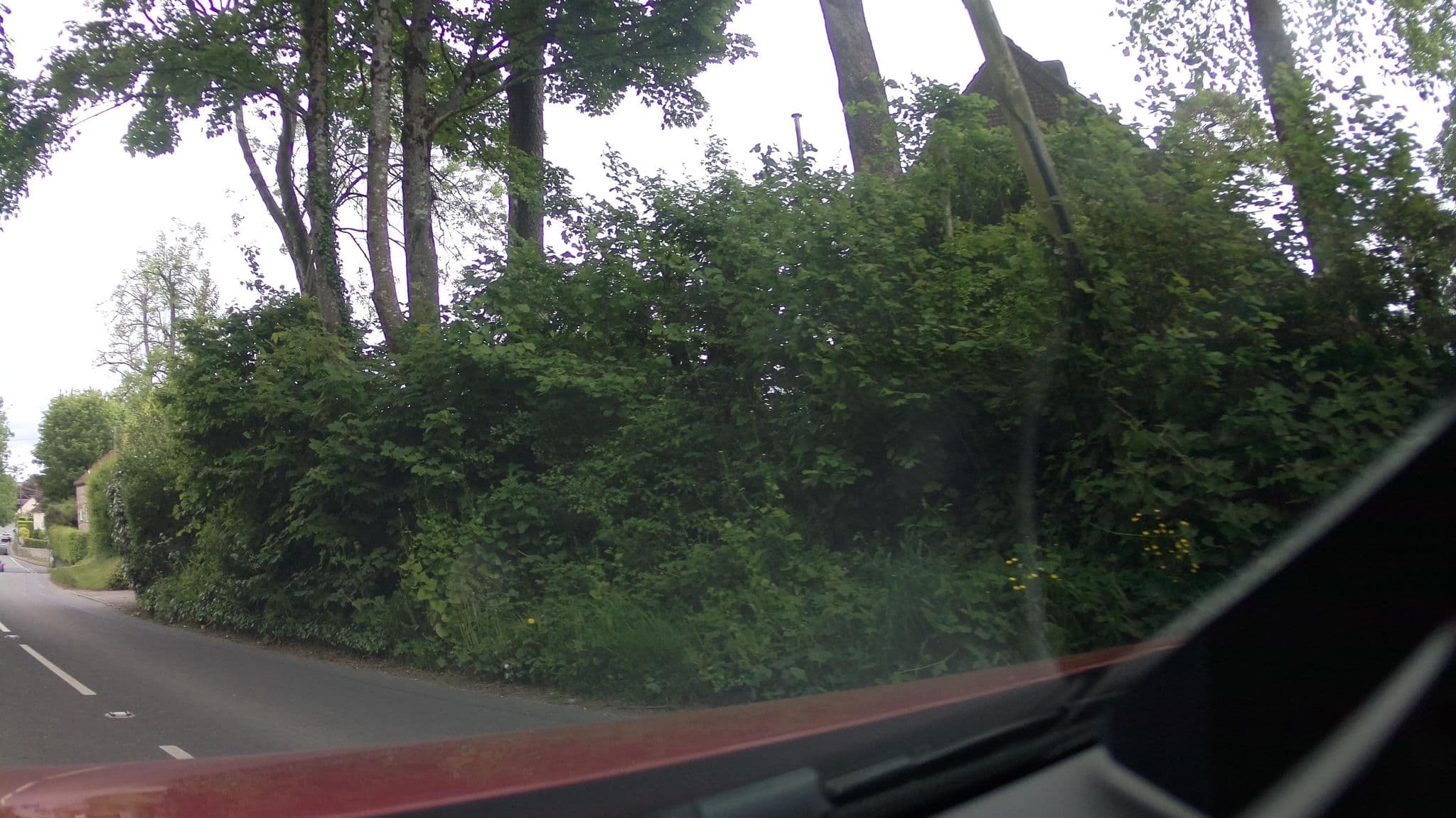 Street view near Holyleas House, Maiden Newton — © southglos (CC BY-SA · Mapillary)