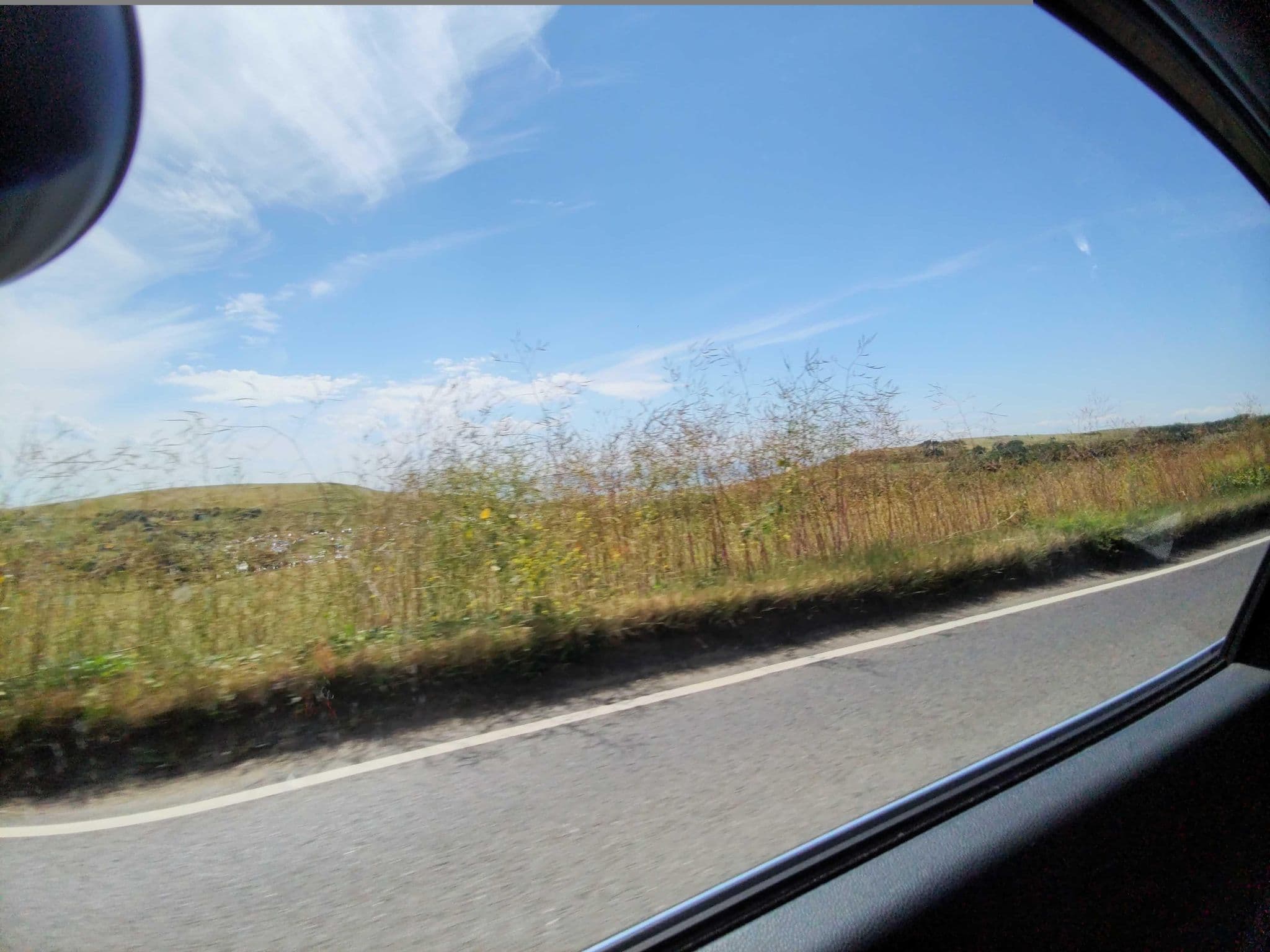 Street view near The Beeches, West Bay — © WaggyDog (CC BY-SA · Mapillary)