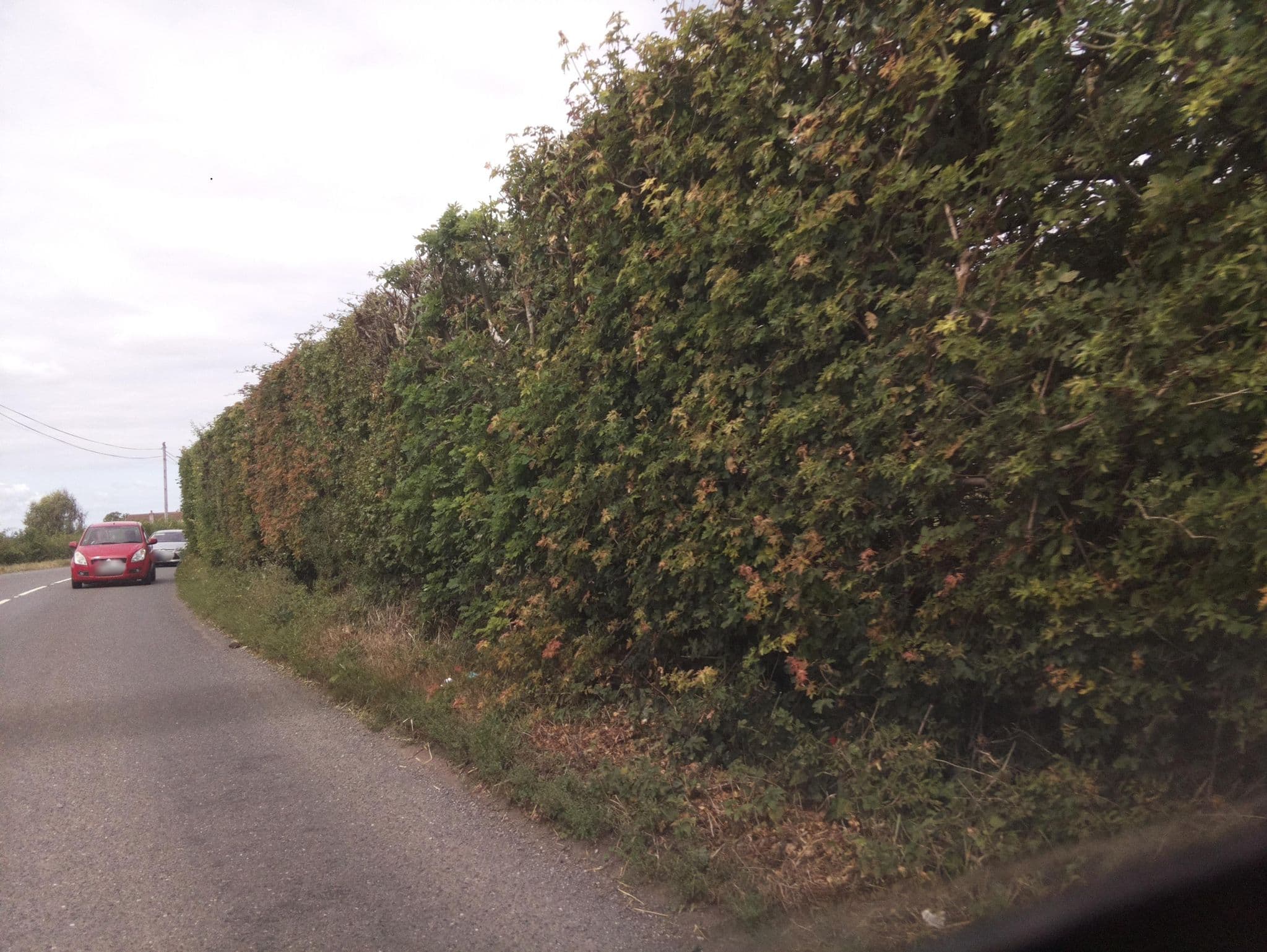 Street view near The Bell Hotel, Langport — © southglos (CC BY-SA · Mapillary)