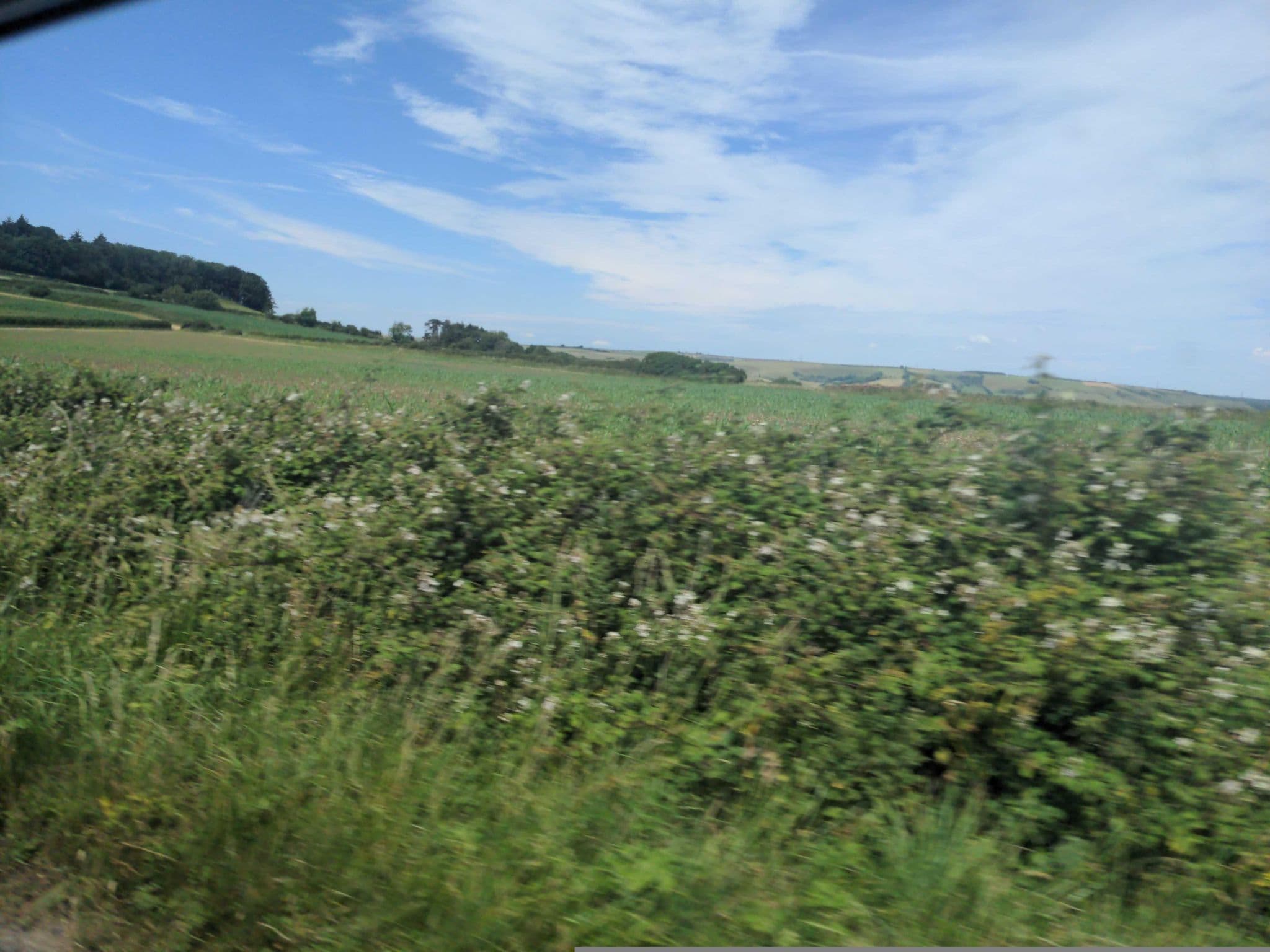 Street view near The Manor Hotel, West Bay — © WaggyDog (CC BY-SA · Mapillary)