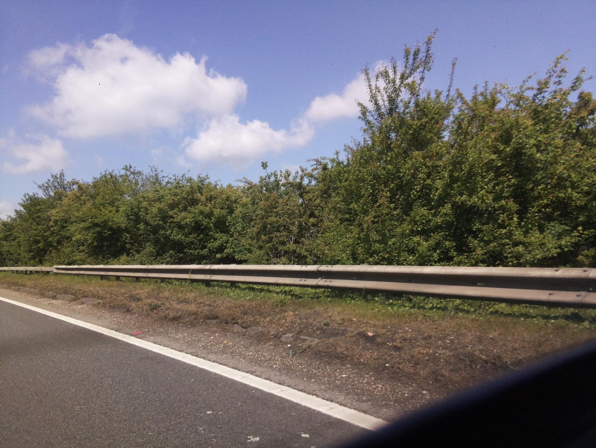 Street view near Torre Avon, Ringwood — © southglos (CC BY-SA · Mapillary)