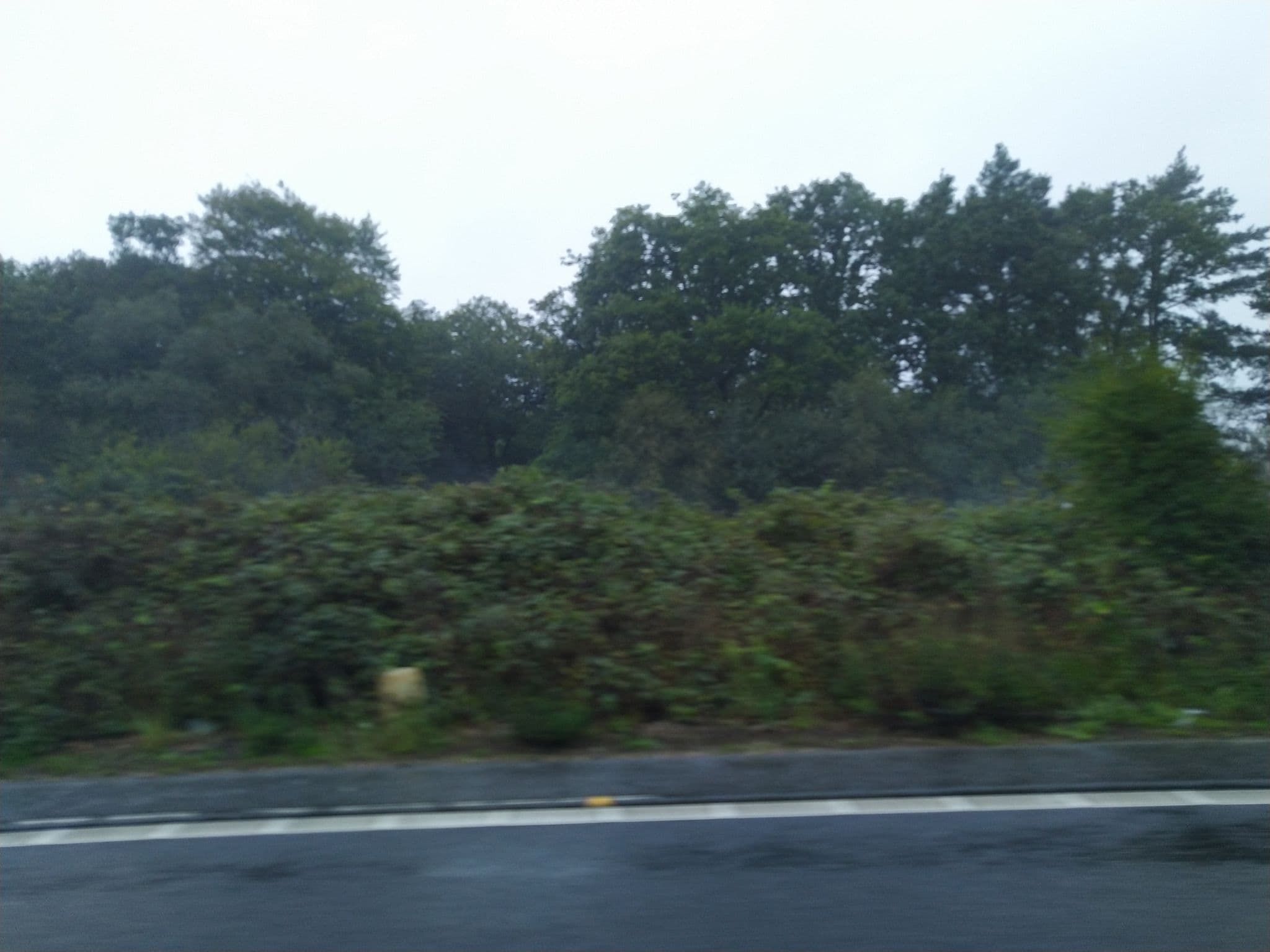 Street view near Forrest Inn, Cadnam — © noid (CC BY-SA · Mapillary)