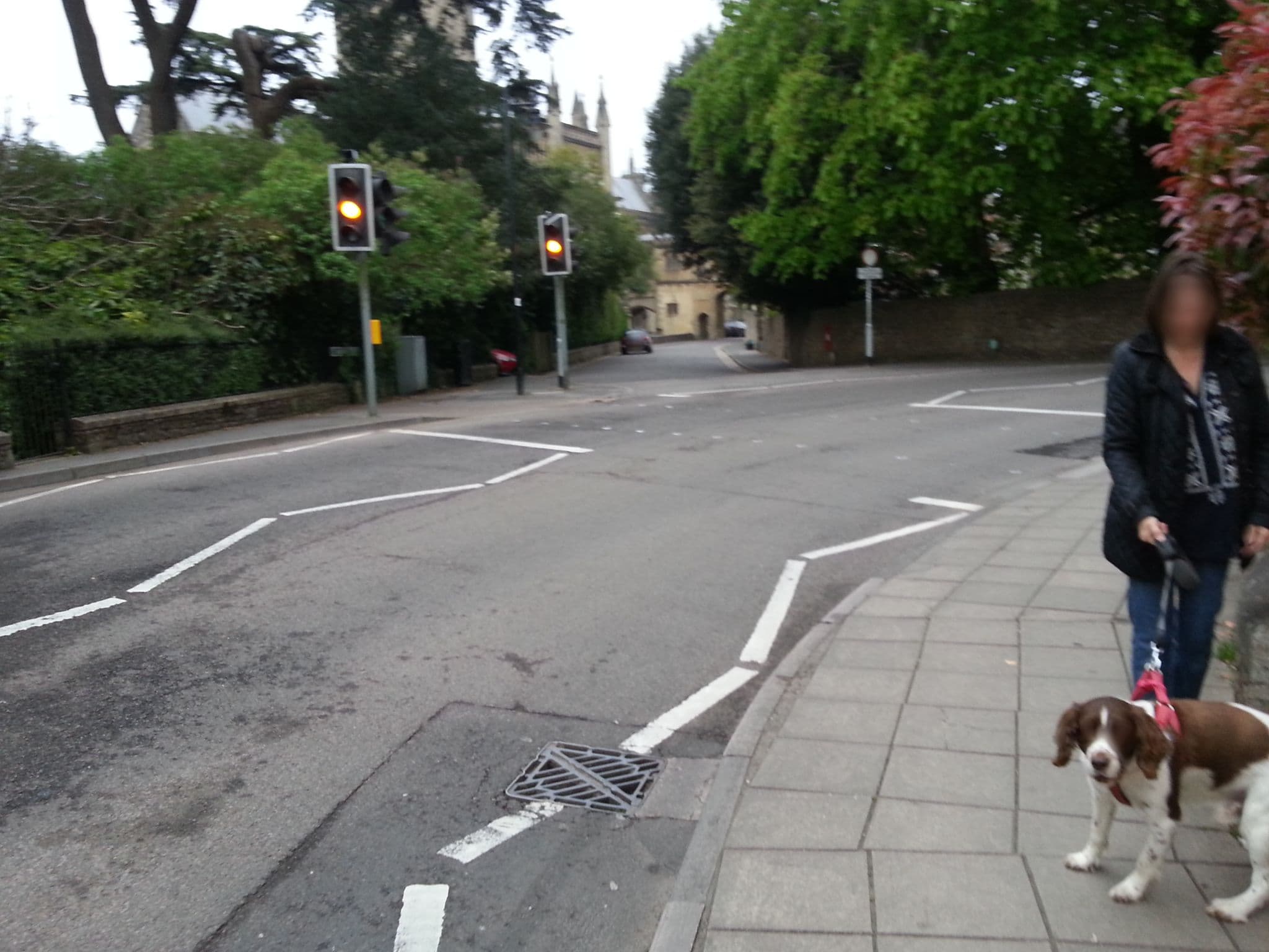 Street view near The Piggeries Hotel, Wells — © thingomy (CC BY-SA · Mapillary)