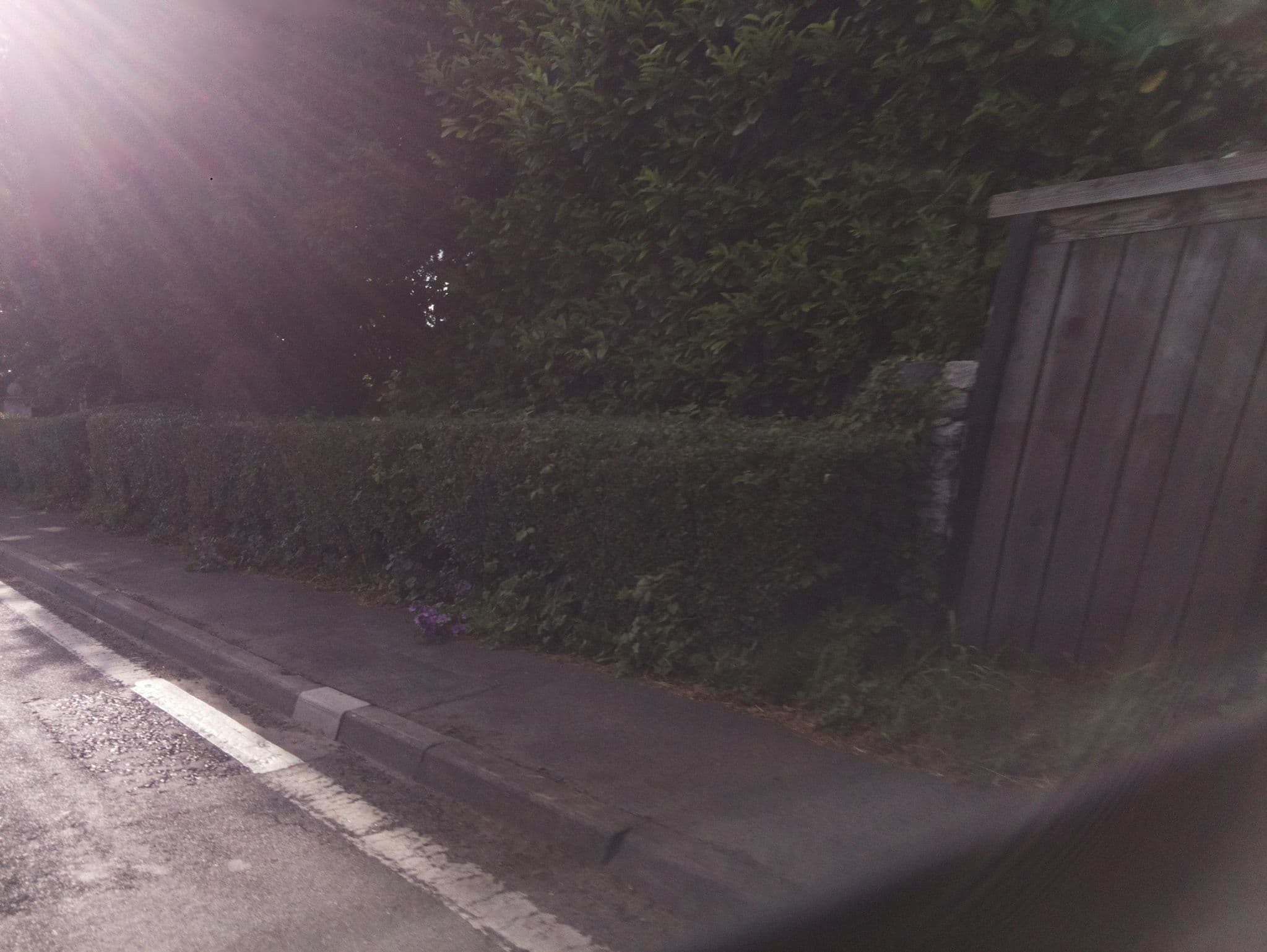 Street view near Havyatt Cottage B&B, Glastonbury — © southglos (CC BY-SA · Mapillary)