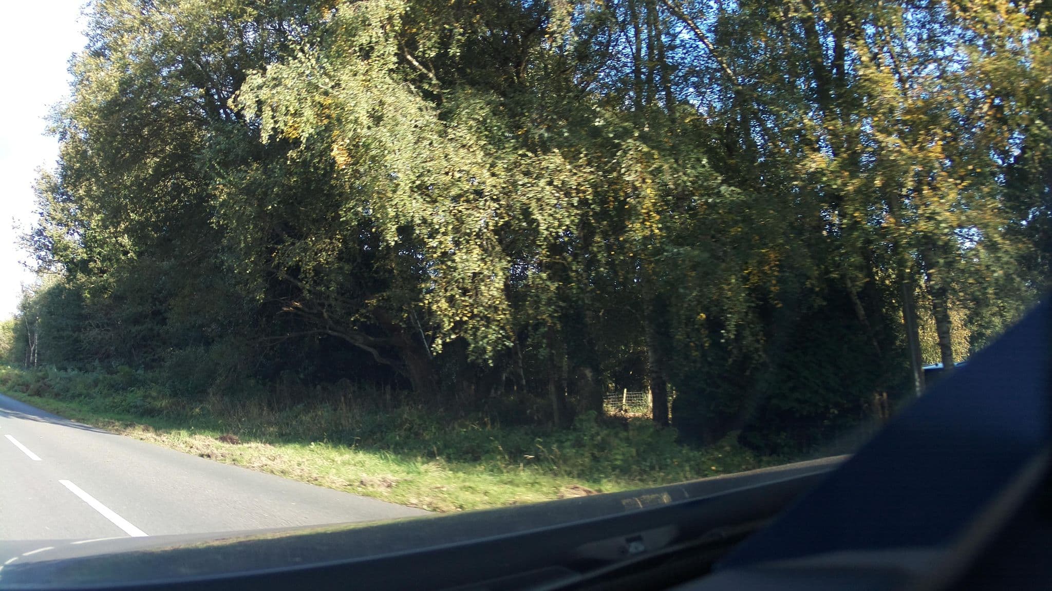 Street view near Forest Cottages, Lydney — © southglos (CC BY-SA · Mapillary)