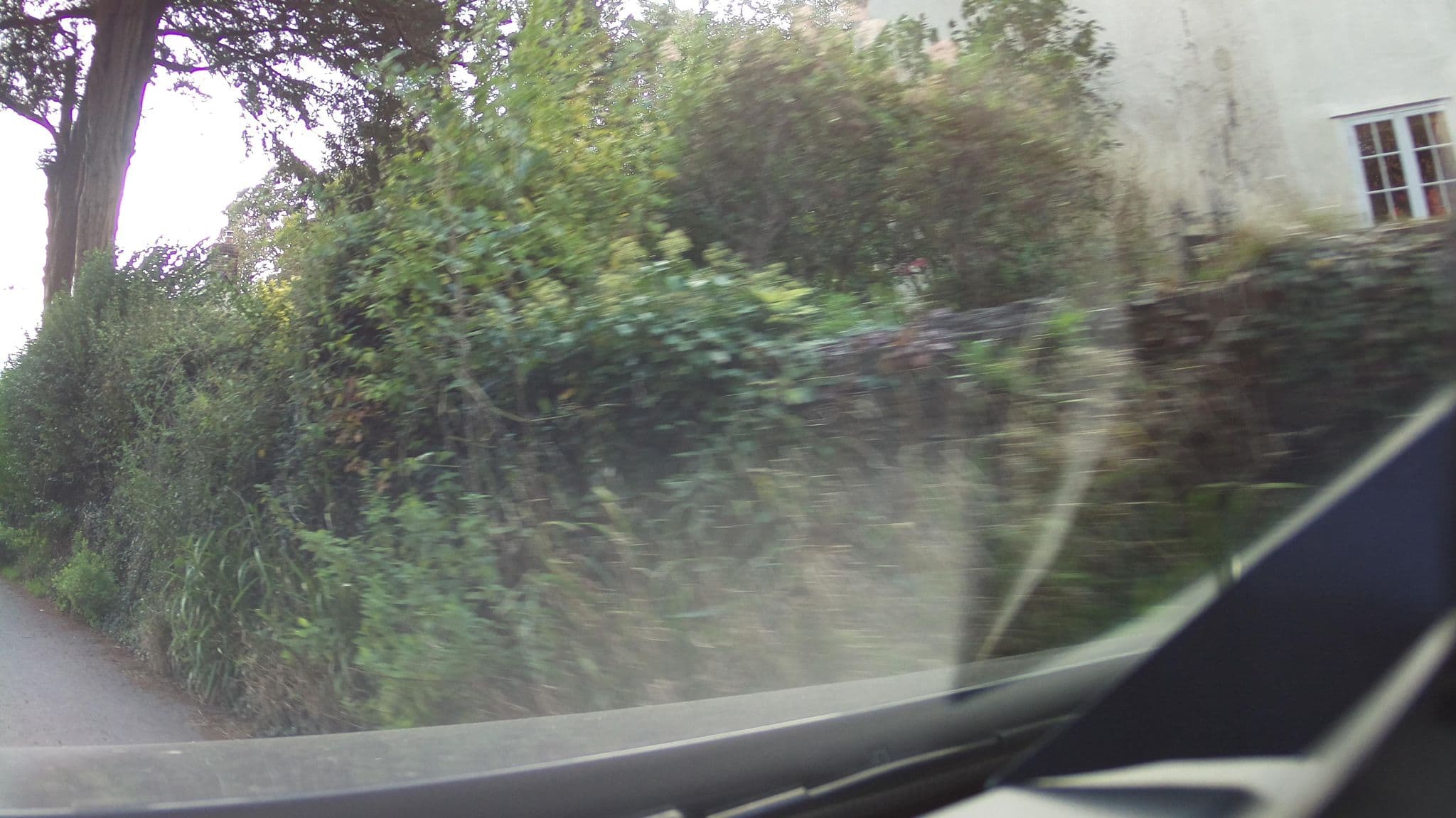 Street view near Anvil Cottage, Sharpness — © southglos (CC BY-SA · Mapillary)