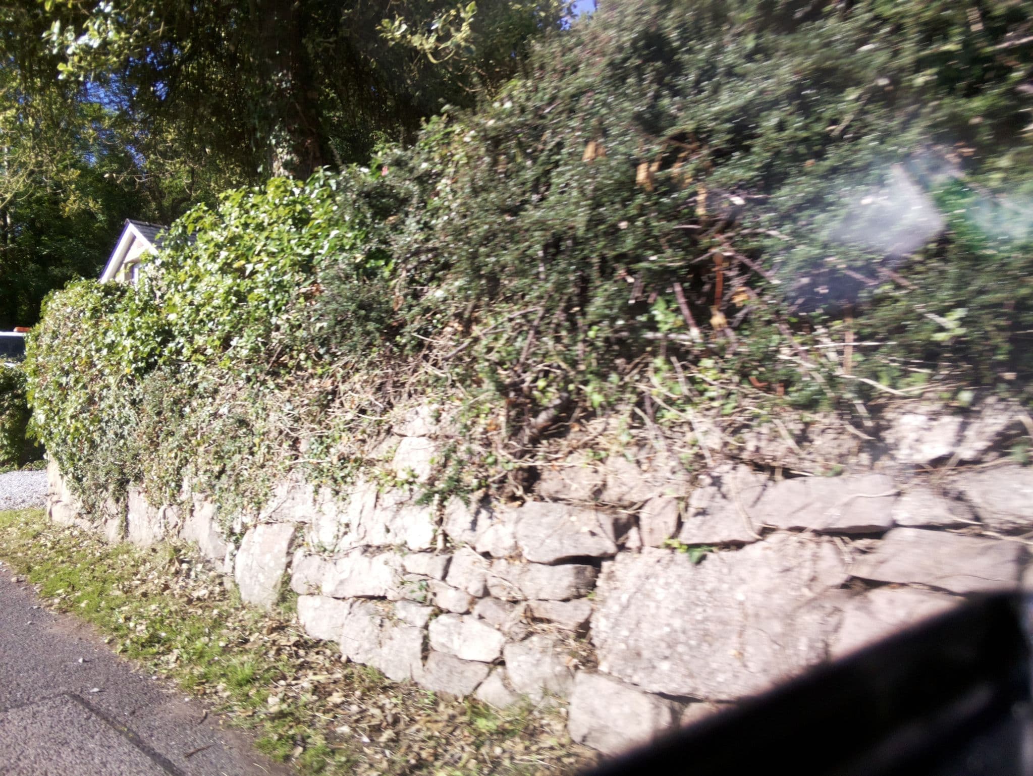 Street view near Cypress Rise, Bream — © southglos (CC BY-SA · Mapillary)