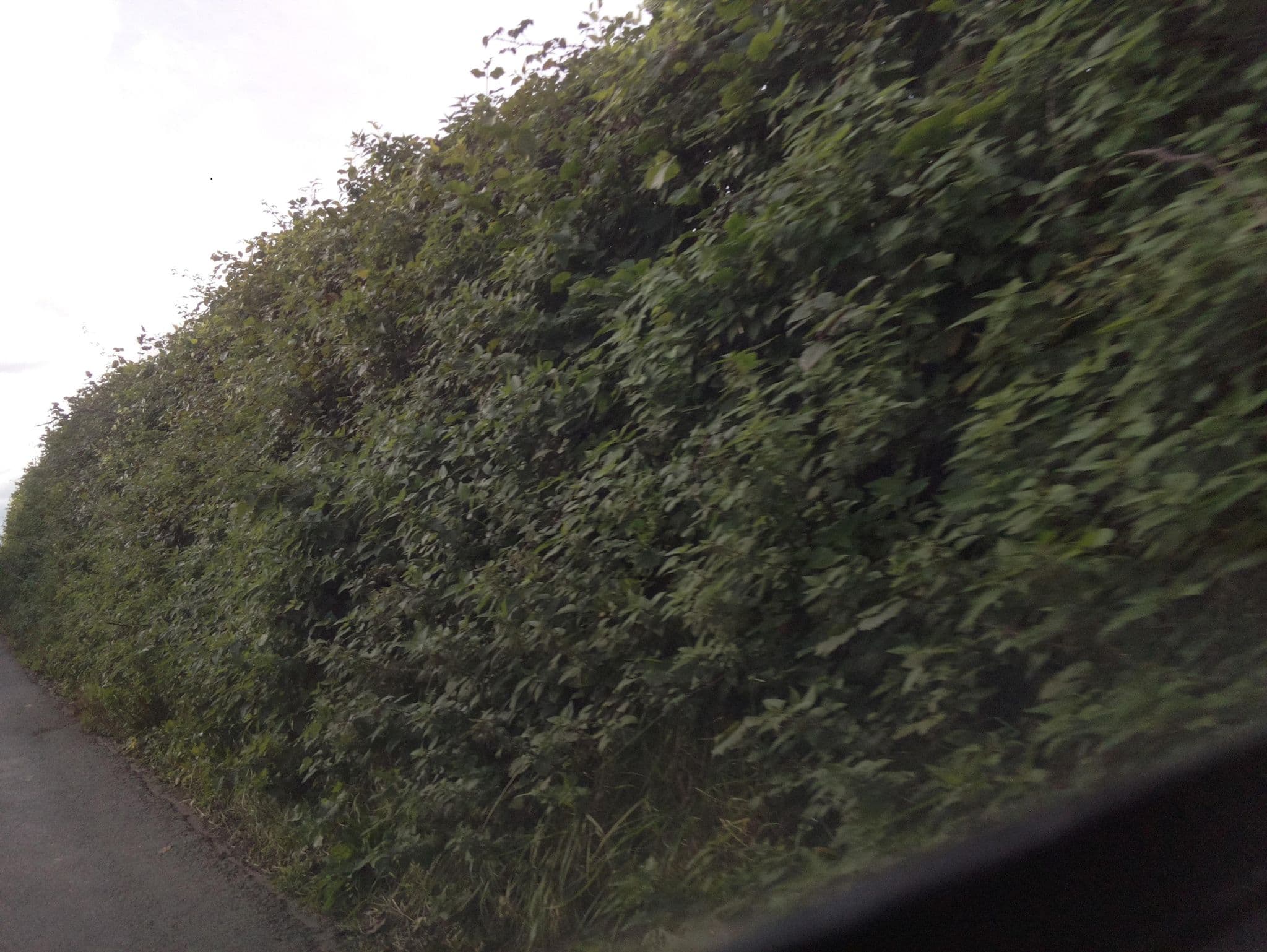 Street view near Steppes Farm Cottages, Monmouth — © southglos (CC BY-SA · Mapillary)