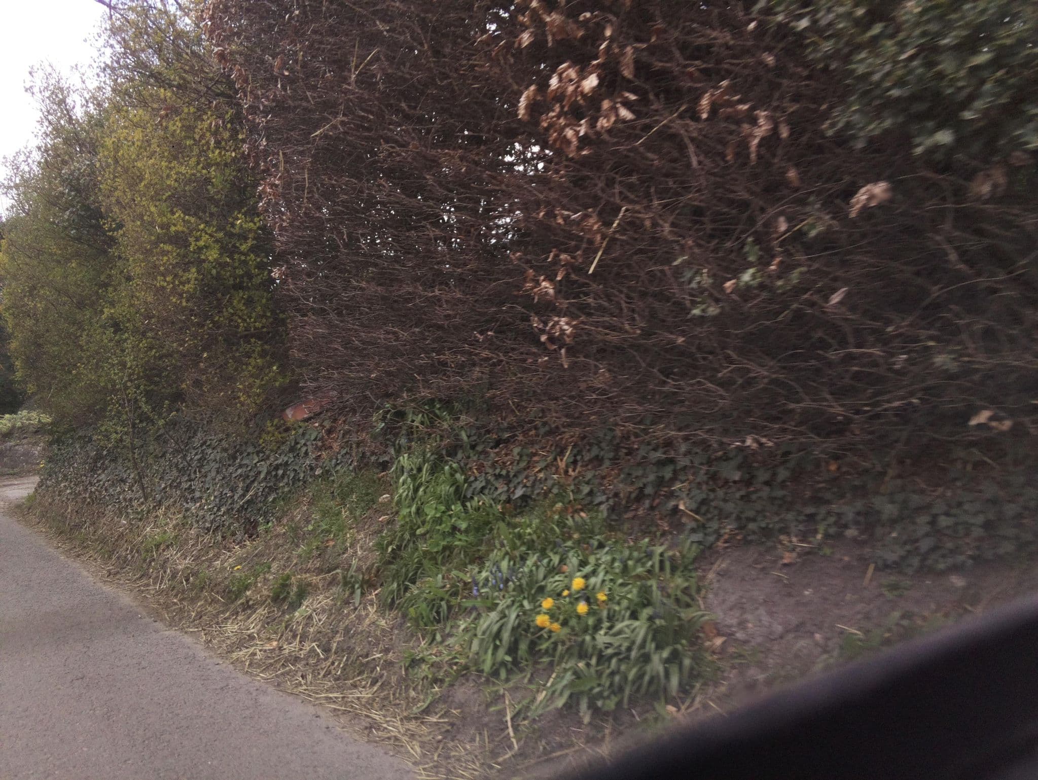 Street view near Stable End Holiday Cottages, Pewsey — © southglos (CC BY-SA · Mapillary)