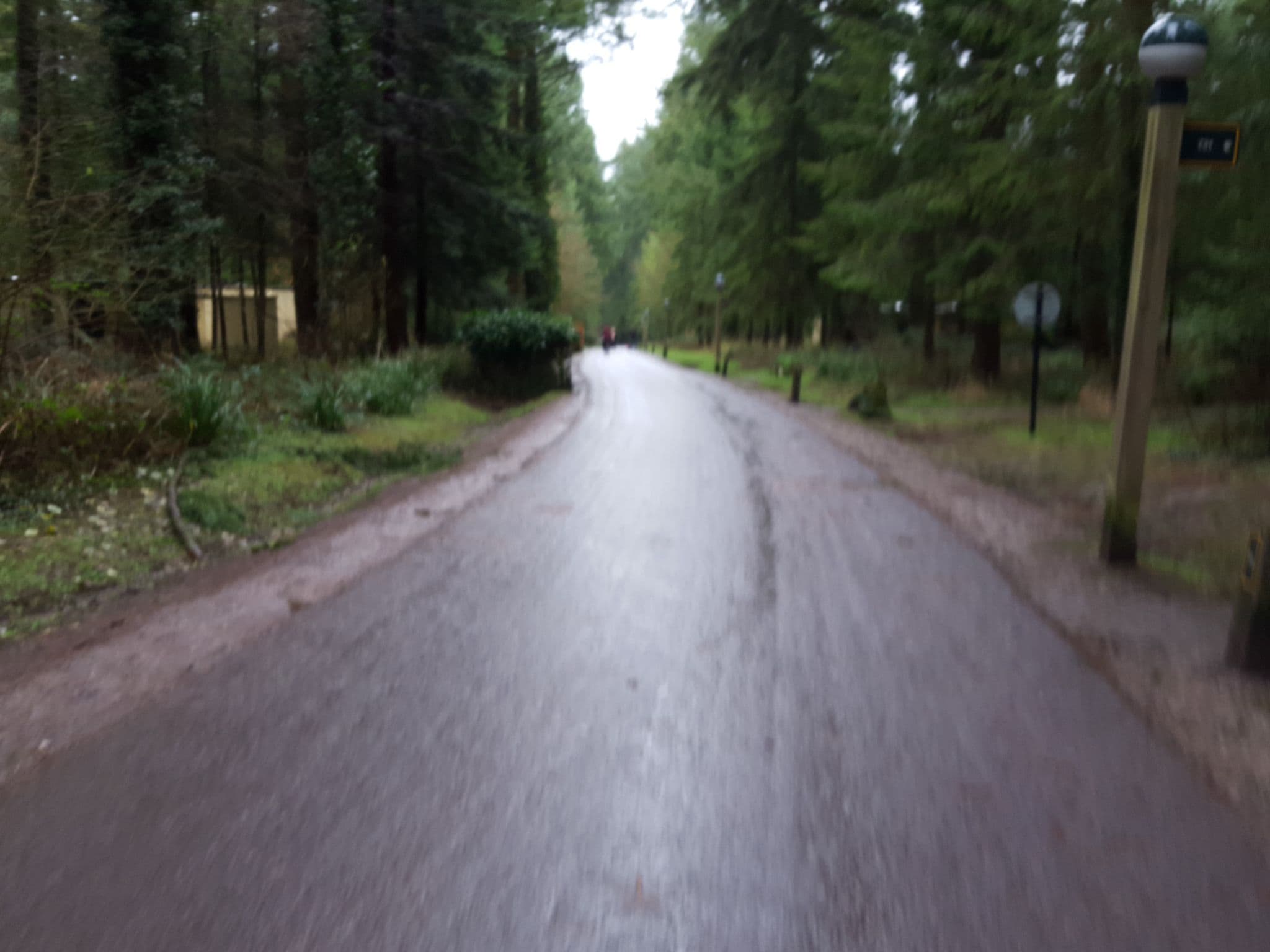 Street view near Fir Lodge 730, Warminster — © edloach (CC BY-SA · Mapillary)