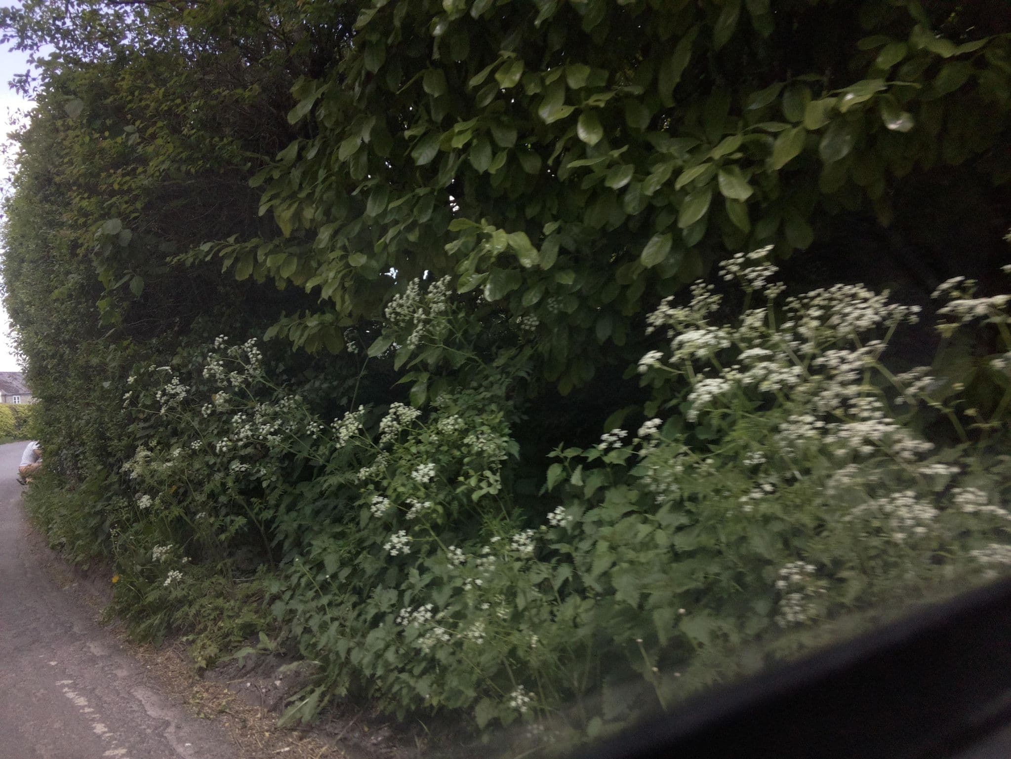 Street view near 92 Monkton Deverill B&B, Mere — © southglos (CC BY-SA · Mapillary)