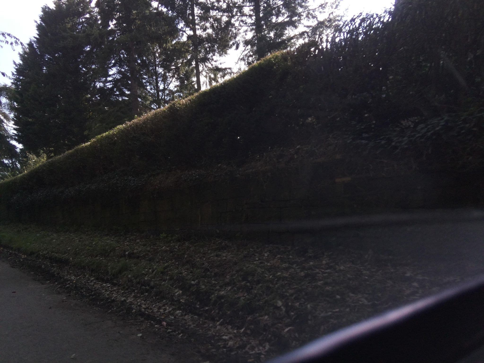 Street view near Hedley Lodge, Hereford — © southglos (CC BY-SA · Mapillary)