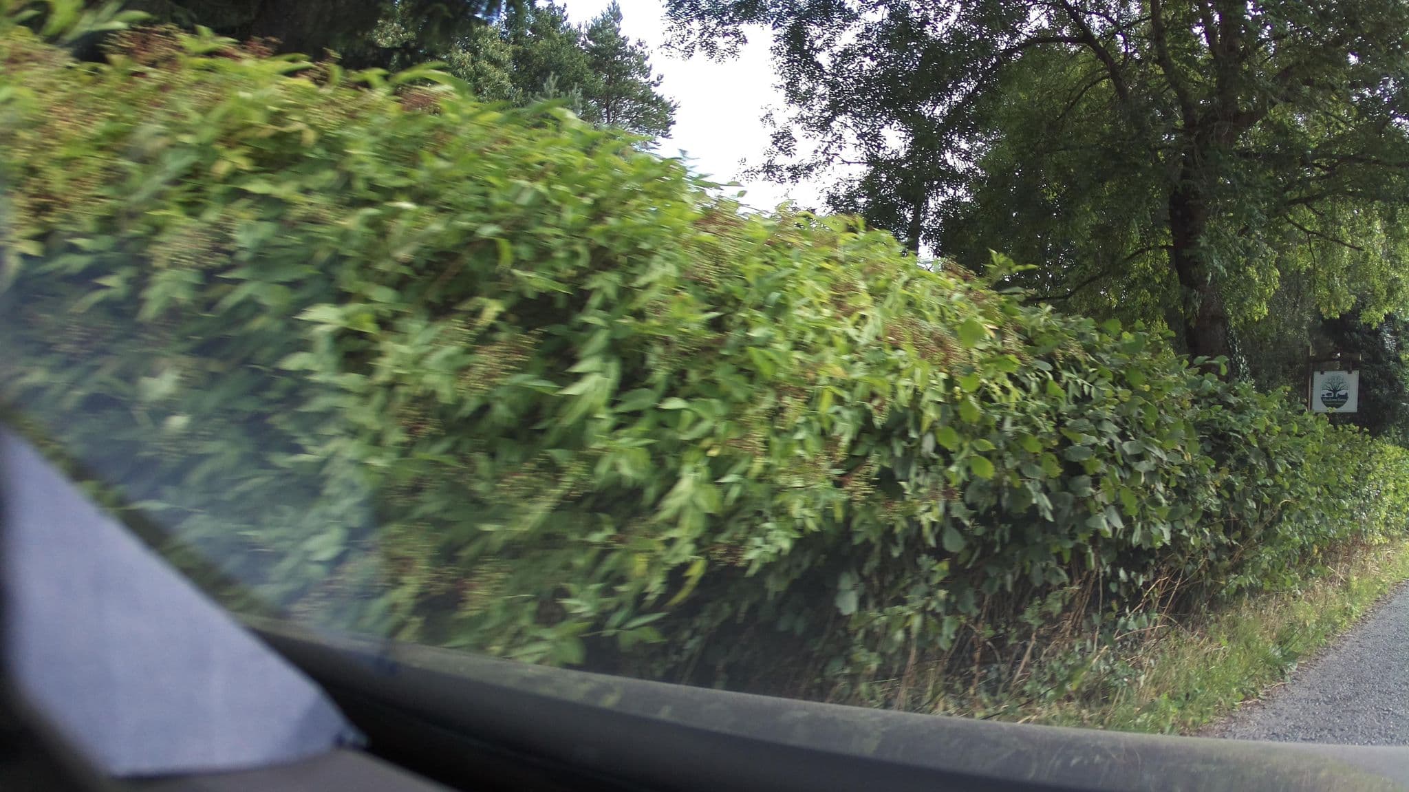 Street view near Mocktree Barns Holiday Cottages, Craven Arms — © southglos (CC BY-SA · Mapillary)