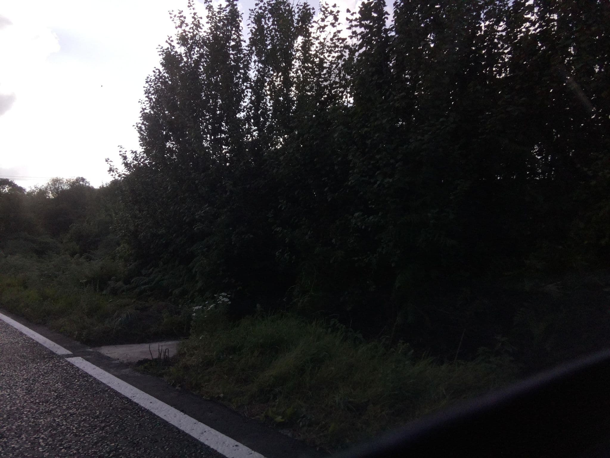Street view near Linton Brook Farm, Bromyard — © southglos (CC BY-SA · Mapillary)