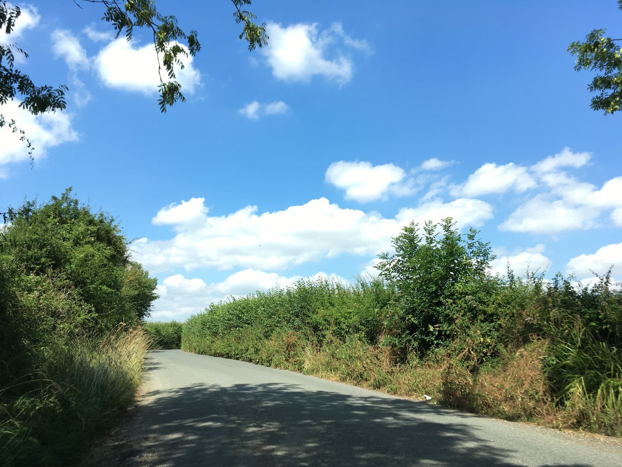 Street view near The Cider Barn, Shurdington — © southglos (CC BY-SA · Mapillary)