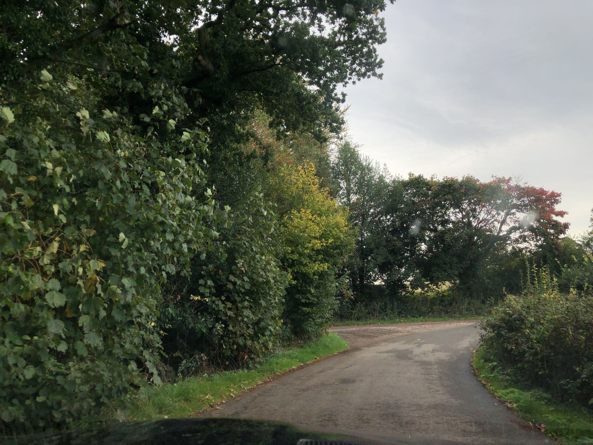Street view near Haseley Coach House Motel, Hatton — © laye (CC BY-SA · Mapillary)