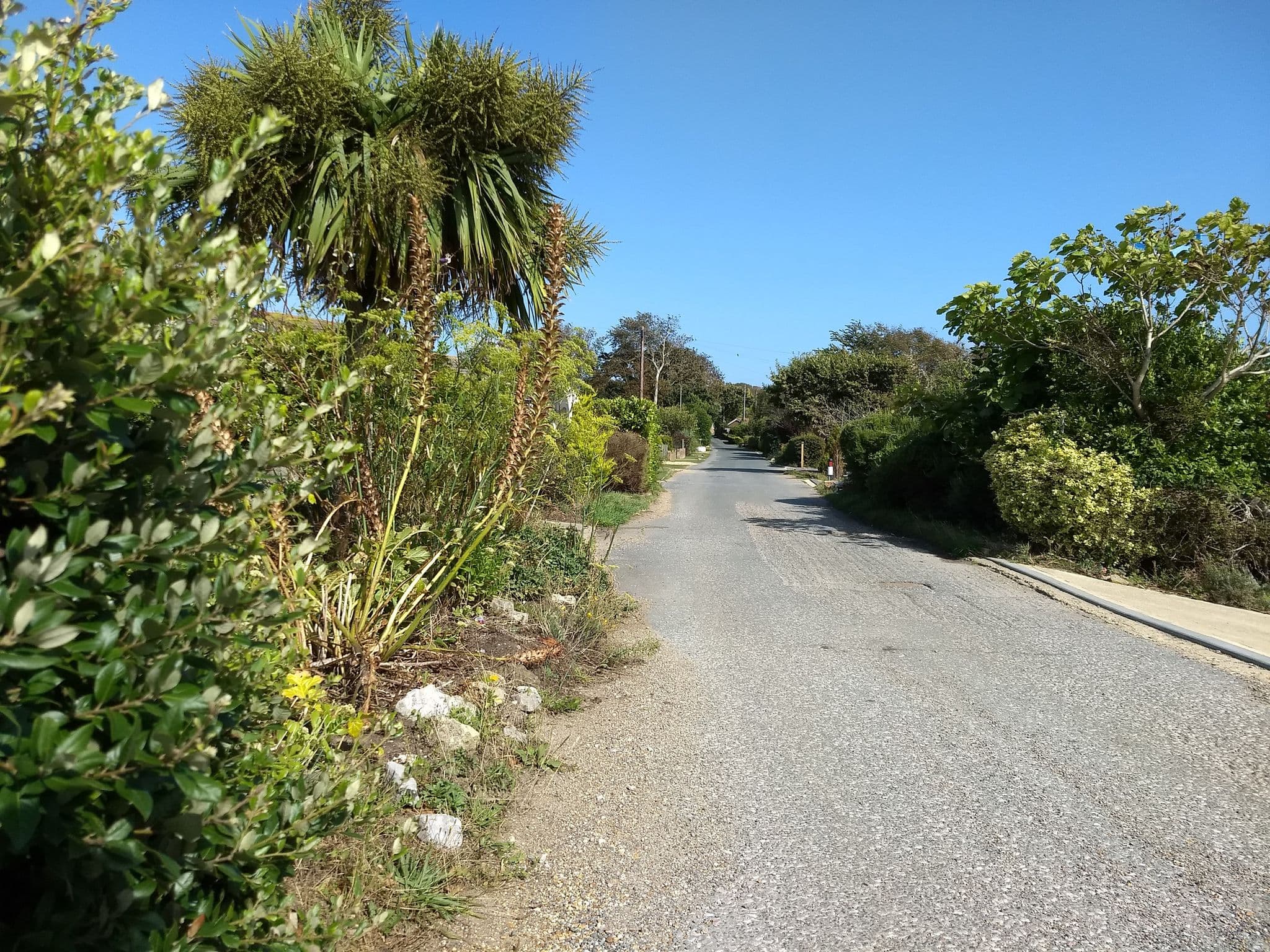 Street view near Little Bassett Bed & Breakfast, Totland — © mappernerd (CC BY-SA · Mapillary)
