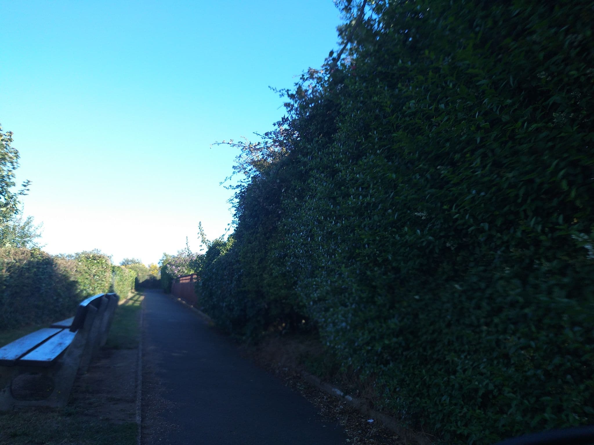 Street view near Mcclaren, Sandown — © cjmalone (CC BY-SA · Mapillary)